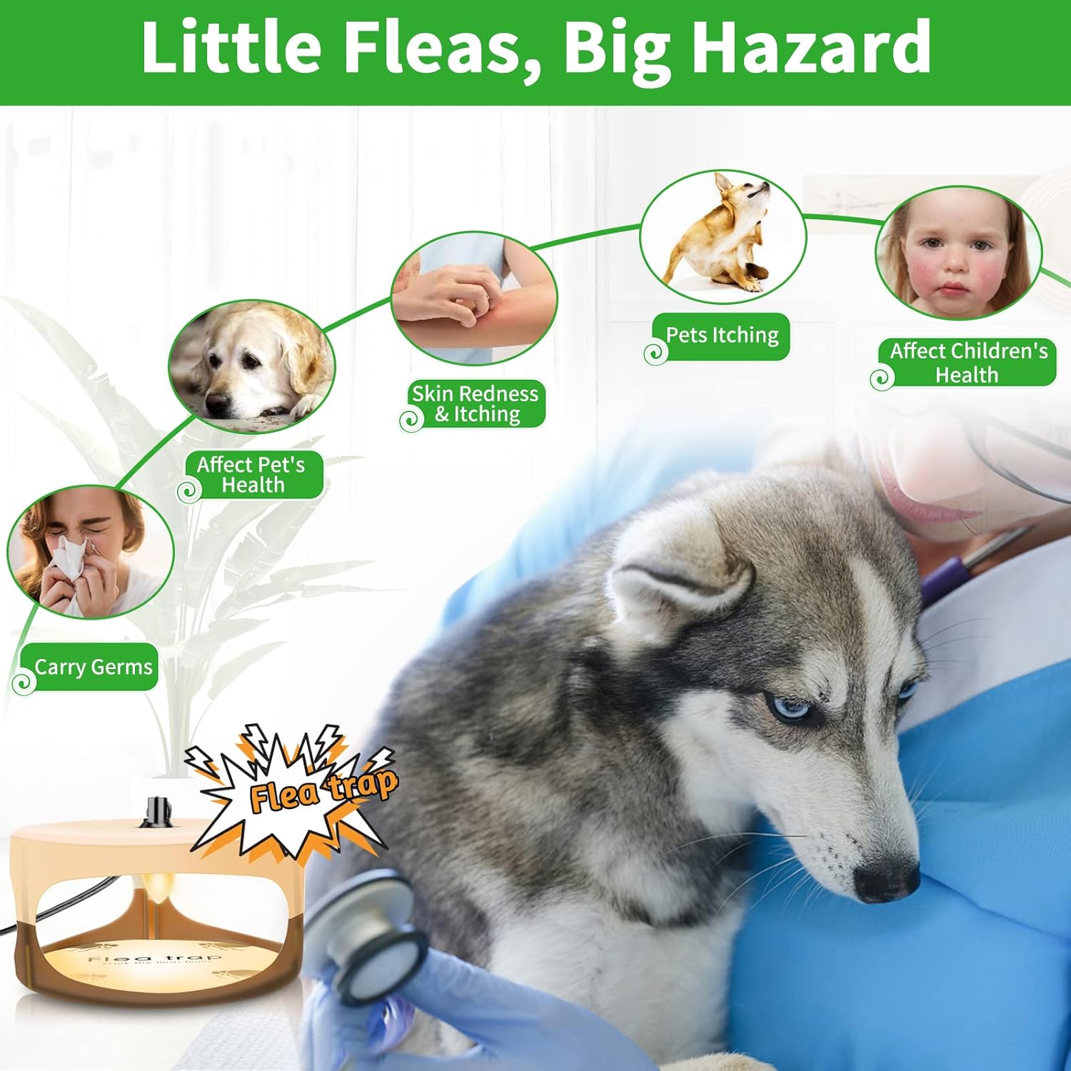 Flea Trap ,Sticky Dome Bed Bug Trap Insects,Indoor Pest Control Trapper Natural Insect Killer Pad with Sticky Pads and Light Bulbs for Bugs Fleas, Non-Toxic Odorless Safe for Kids/ Pets(2 Pack) : Clothing, Shoes & Jewelry