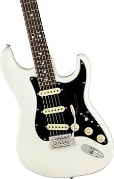 ギター FENDER American Performer Stratocaster Fender American Performer Stratocaster 6-String Electric