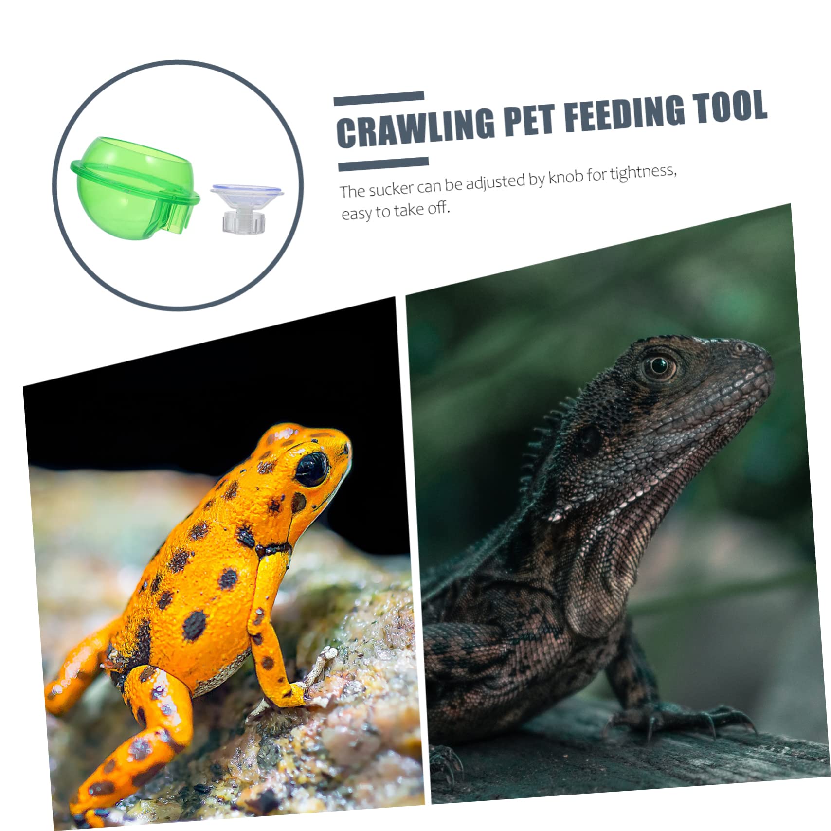 Happyyami 2Pcs Reptile Feeding Bowl Escape Food Water Container with Suction Cup Transparent Design for Pet Lizards Frogs for Reptile Owners