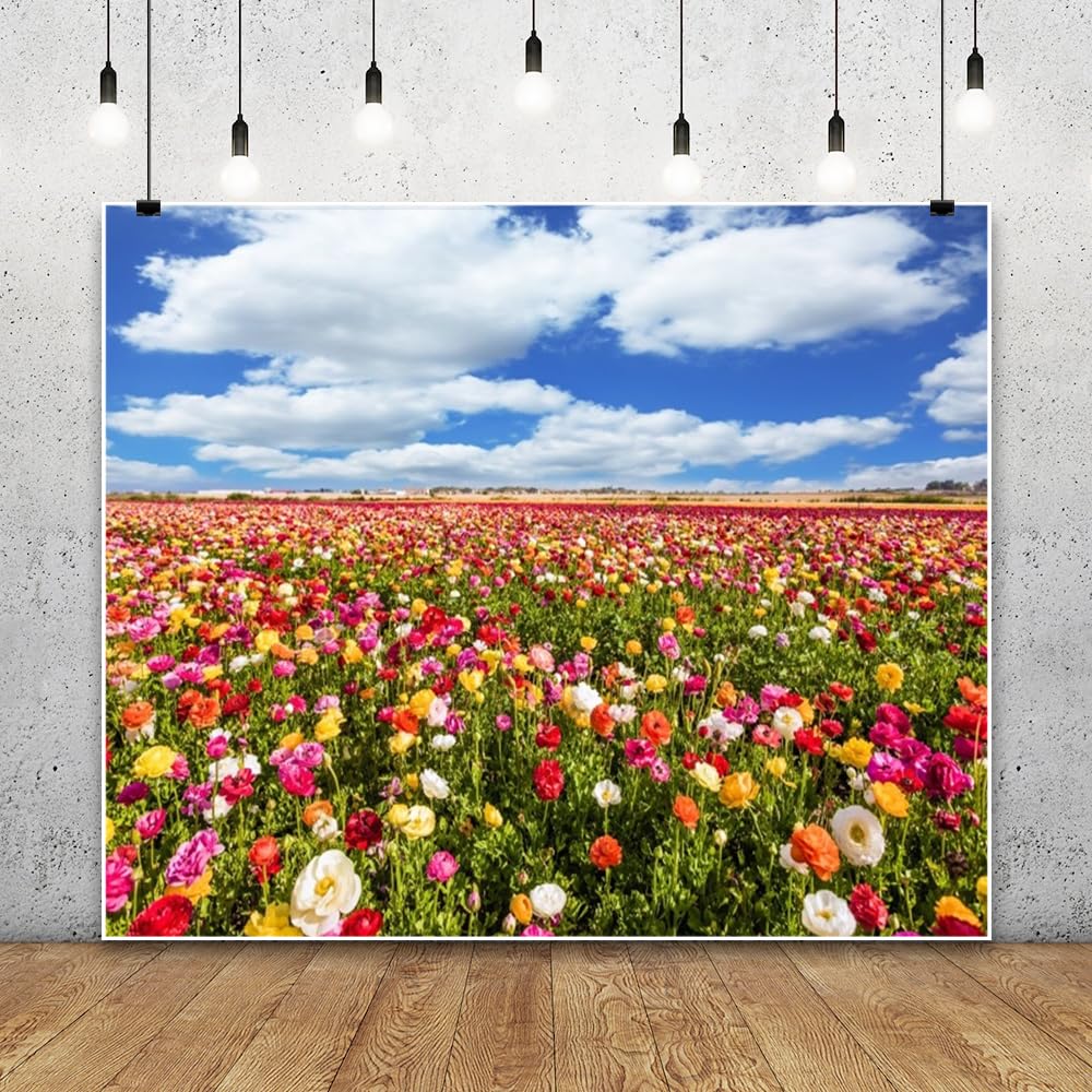 Sunrise Backdrop 8x4ft Spring Meadow Vinyl Backdrop - HD Photography ...