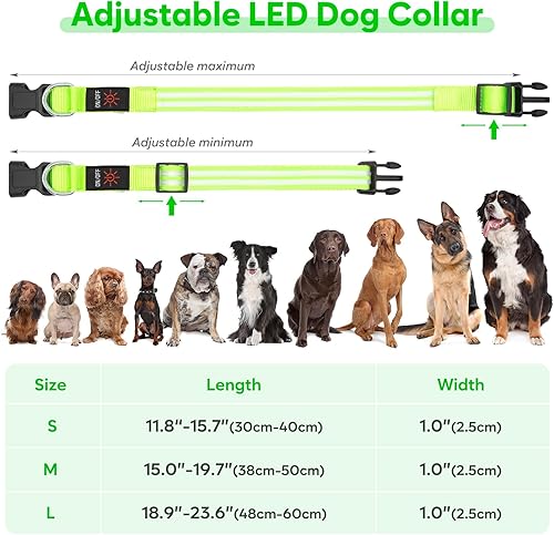 Miniatura 3 de Collares de perro con luces LED recargables, collares de perro que brillan en la oscuridad, para seguridad nocturna, collar de cachorro iluminado,