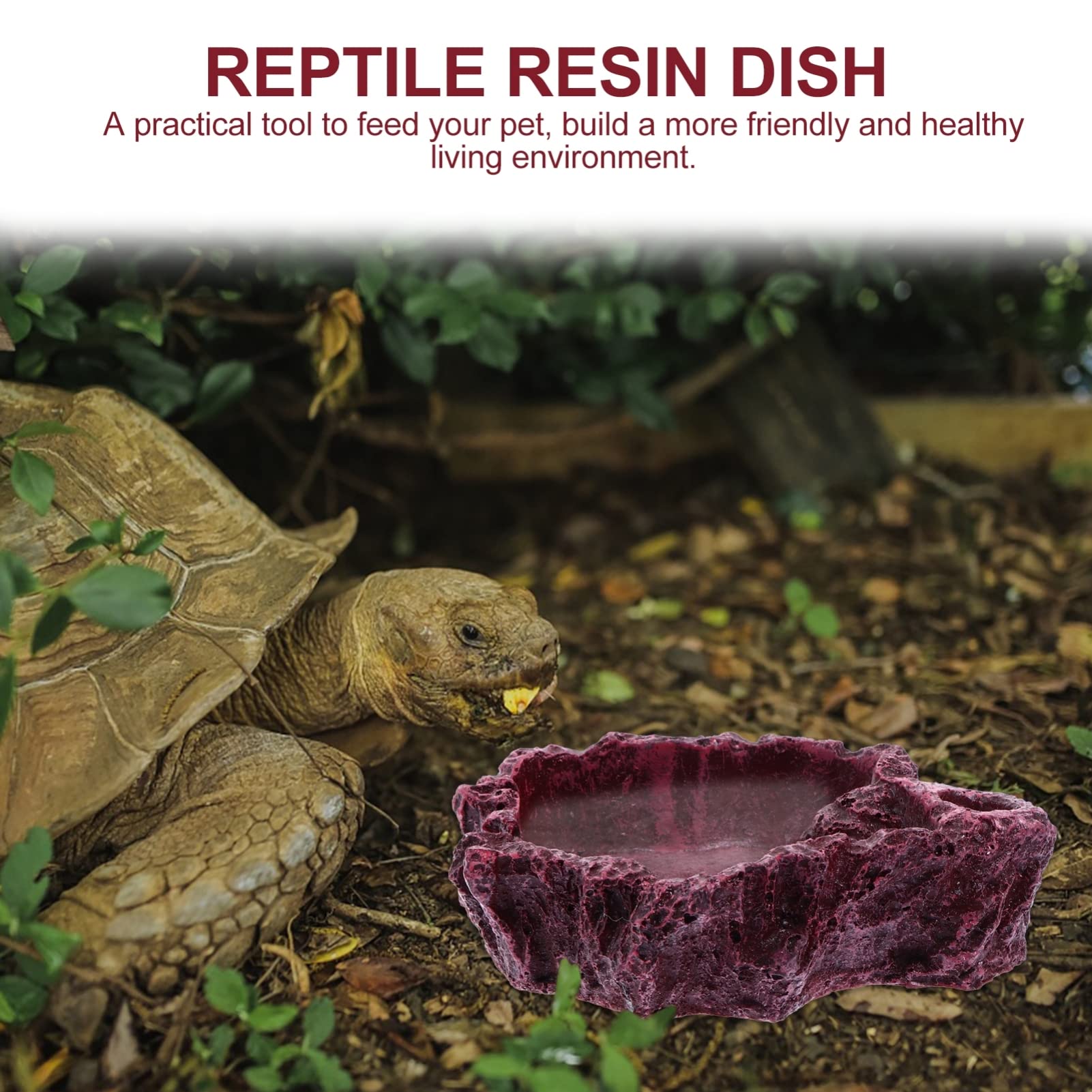 Cuenco de agua para reptiles Cuenco de alimentación for reptiles, 4 piezas, cuenco de agua for reptiles, cuenco de alimentación for reptiles, comedero for reptiles, taza de agua for lagartos, cuenco d