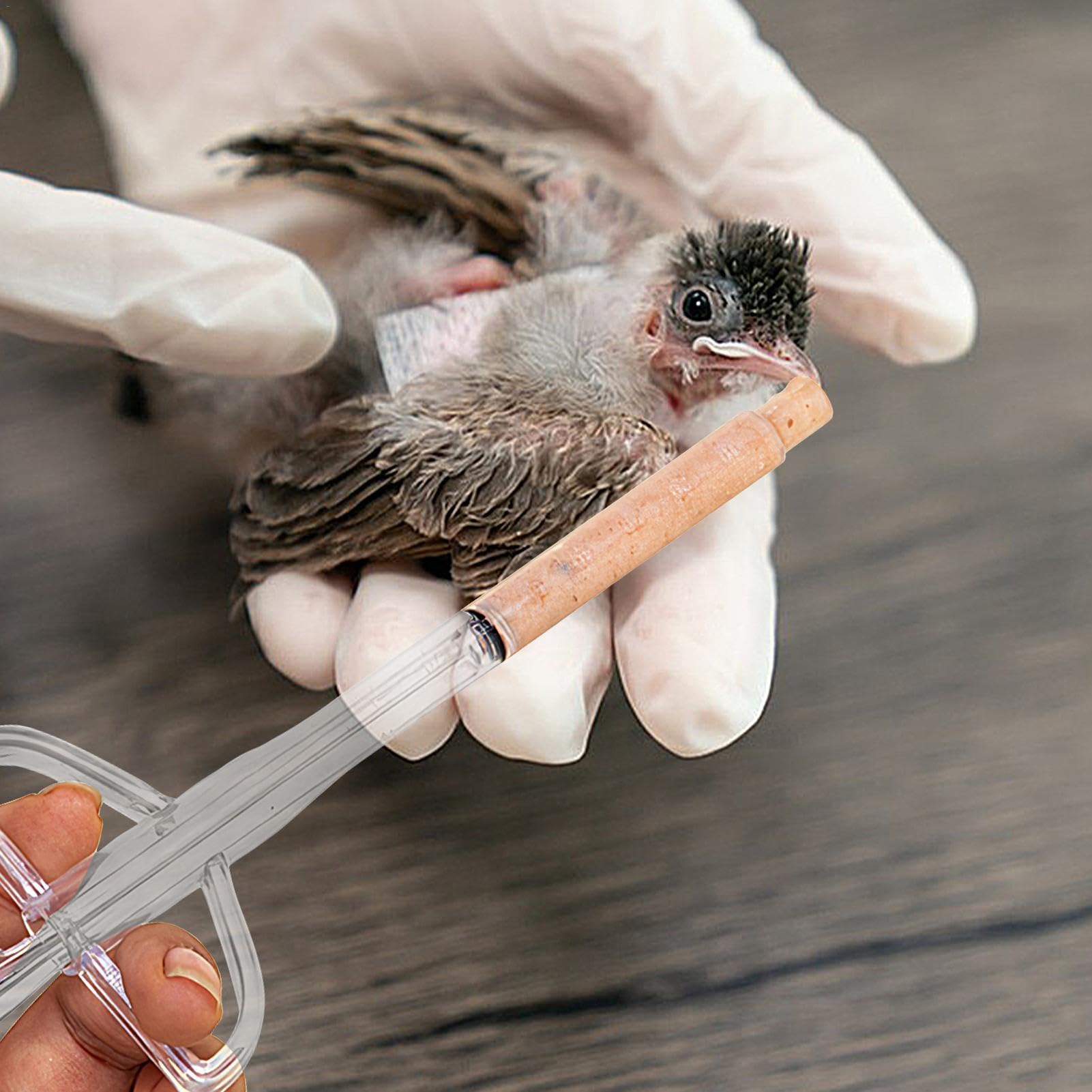 Myna Seringue d'alimentation pour oiseaux et perroquets pour petits oiseaux pour lait et médicaments