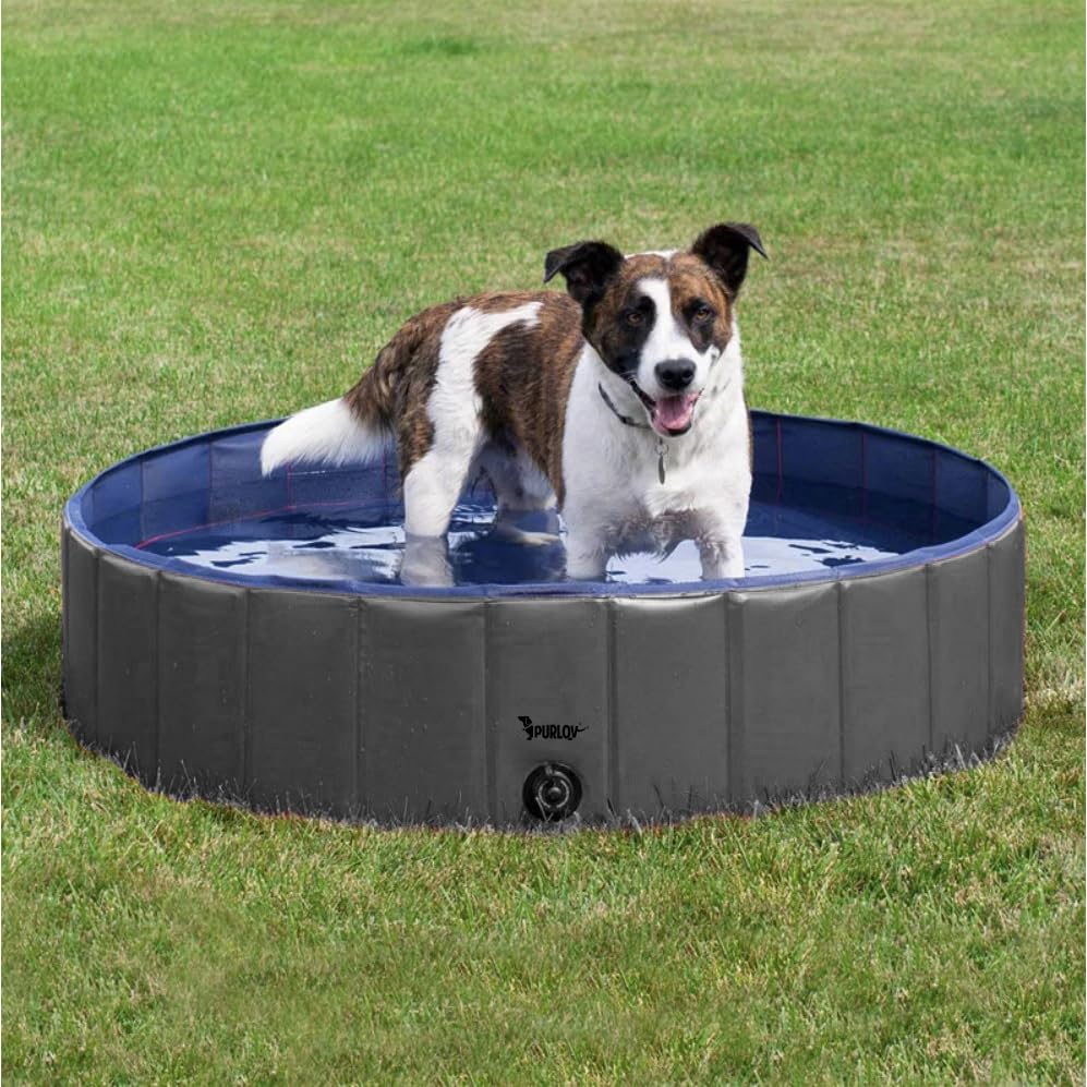 PURLOV Hundepool 160x30 cm/ 120x30cm PVC + ABS Klappbar Antitutsch-Belag Ablaßventils Blau-Grau 23831, Größe:120/30 cm