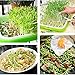 4 Layers Sprout Trays with Extra Strength Plastic Shelf Soil-Free Healthy Wheatgrass Seeds Grower & Storage Trays for Garden Home Office