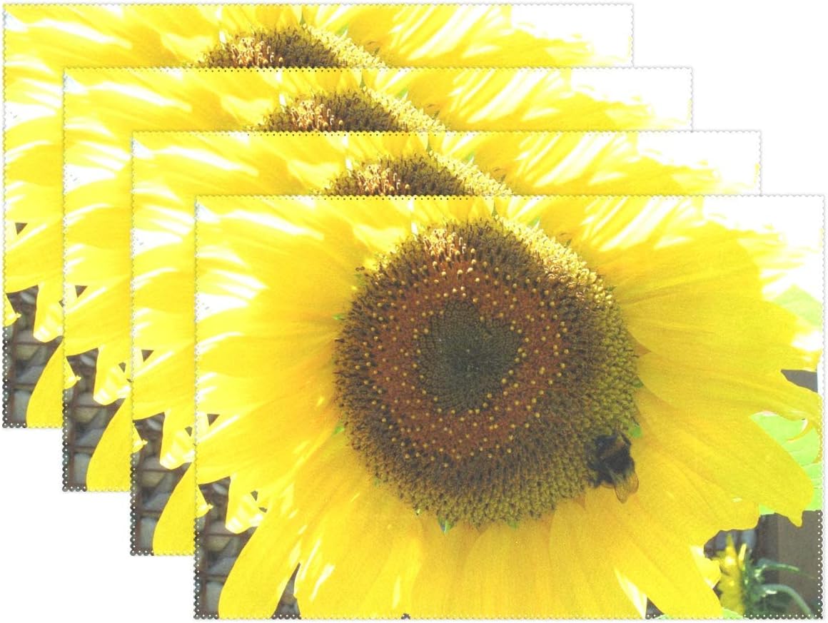 pietra da cucina per rv