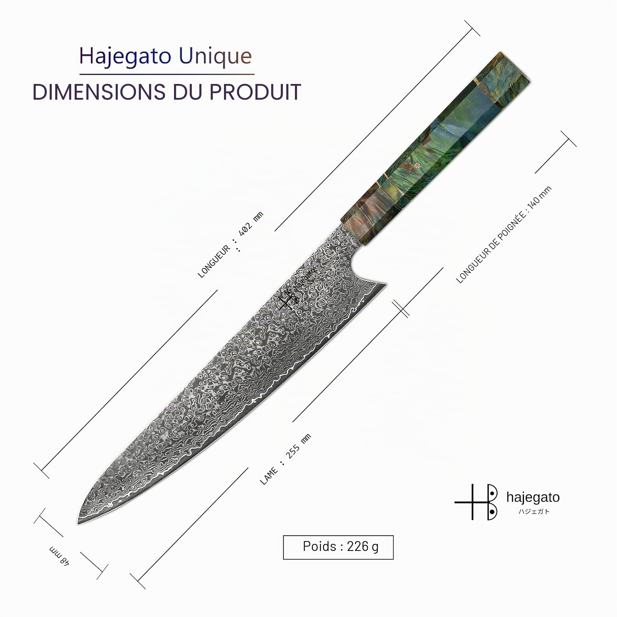 Couteau de chef japonais Gyuto avec manche unique en son genre, 25,4 cm, couteau de cuisine VG10, 67 couches en acier de Damas
