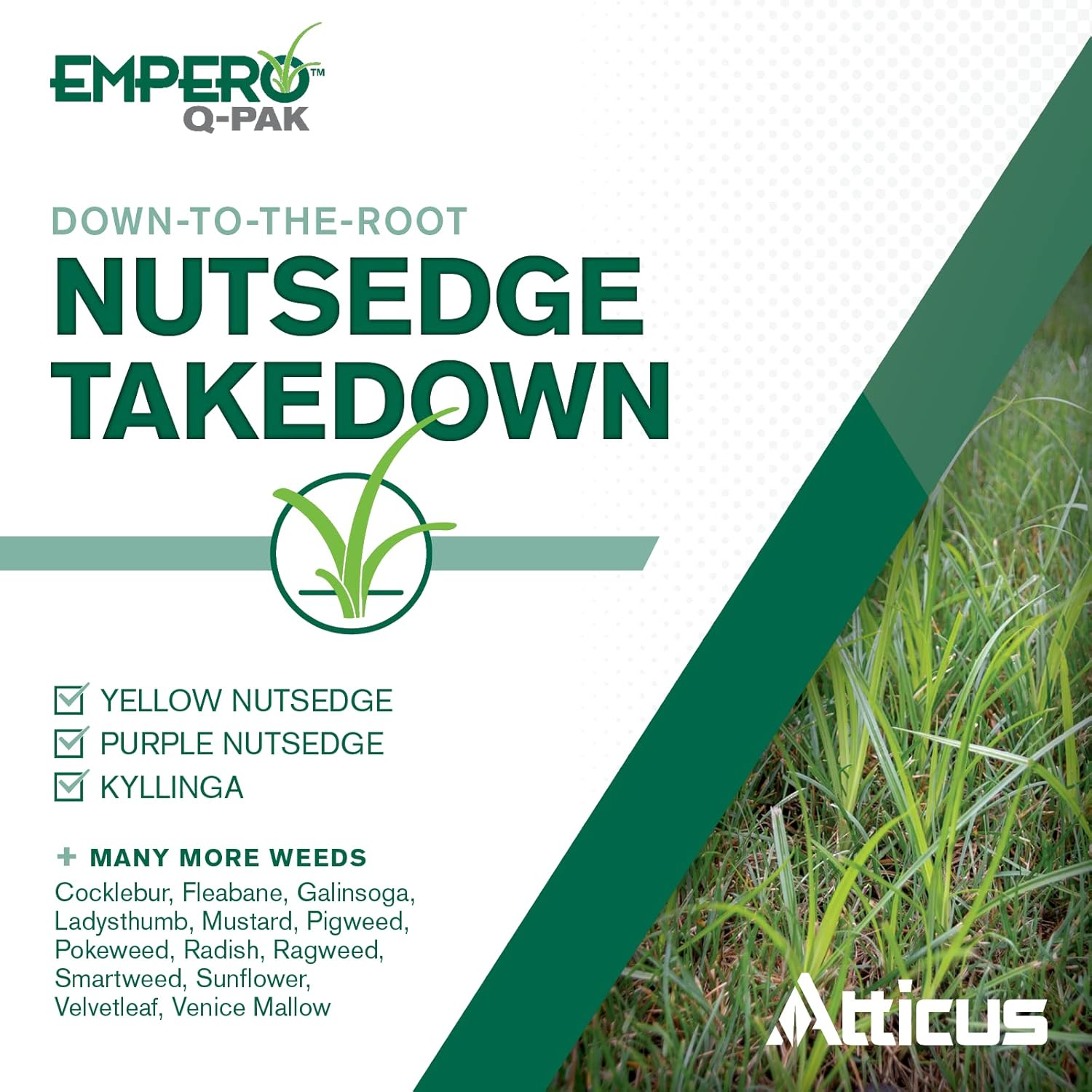 Atticus Empero Q-Pak Nutsedge Killer (4-Pack) Turf Herbicide - Kills Nut Grass in Established Lawns, Ornamental Turfgrass, & Landscape Areas - Halosulfuron - by Atticus