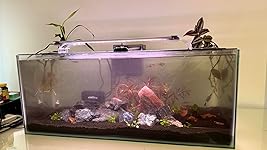 Review Image by Mariel Mariel