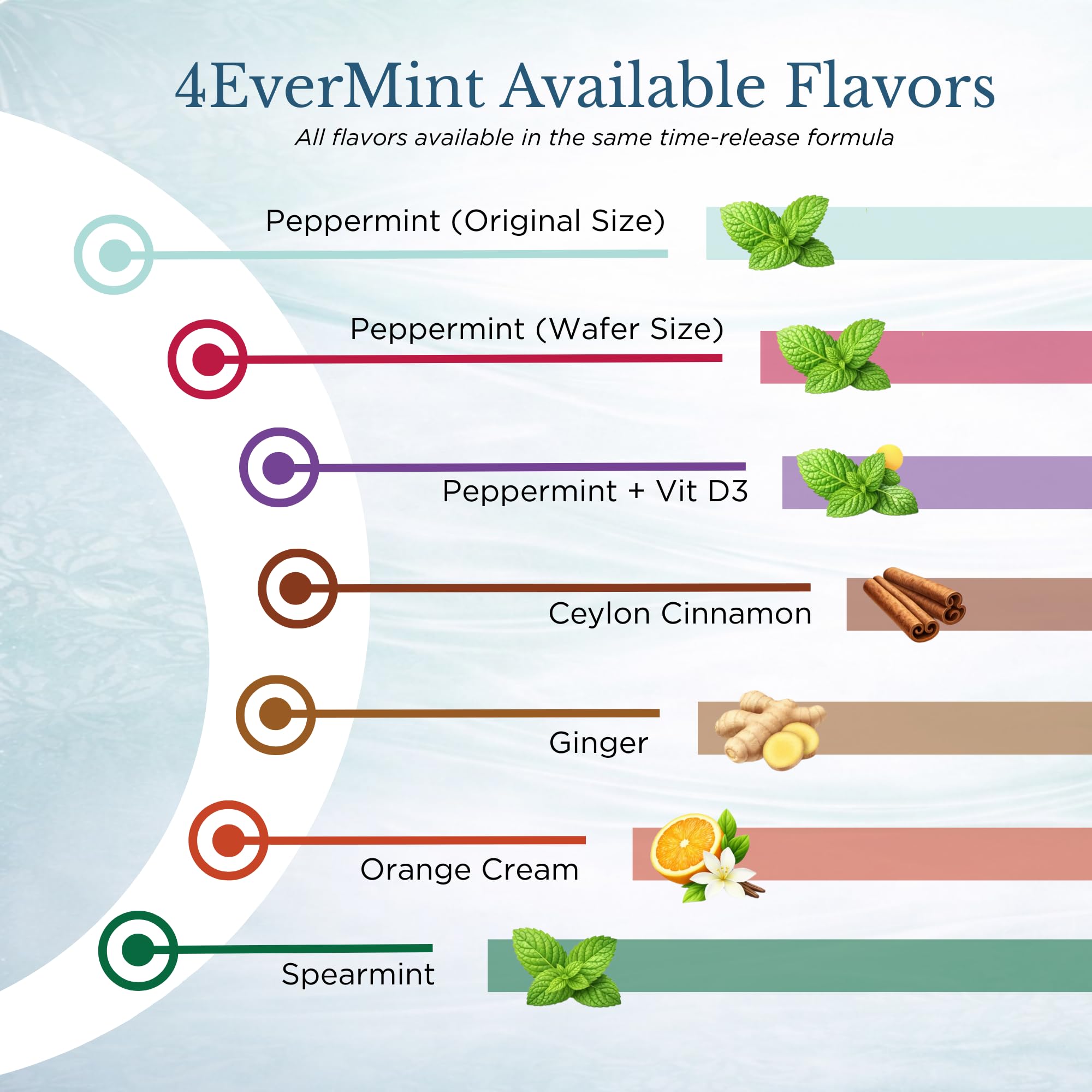 Amazon.com : 4EverMints - Cinnamon Flavor 4-Hour Time-Release