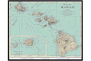 Hawaiian Wall Decor: Vintage Island Charm for Your Home