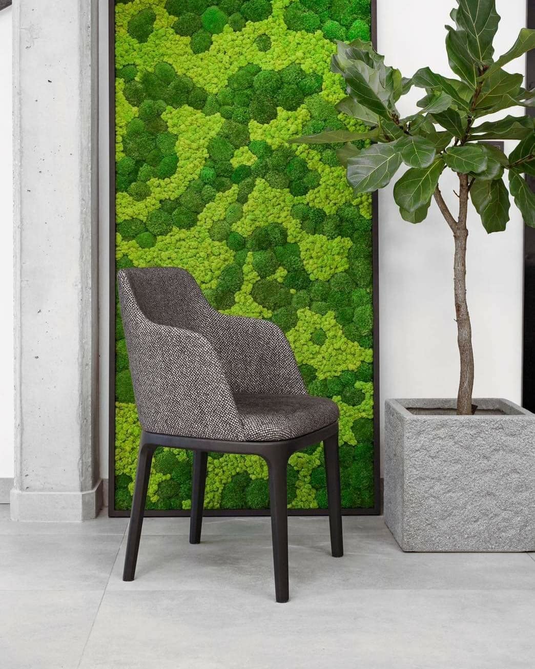 Cadre mural mousse stabilisée rectangulaire – décoration murale végétale naturelle intérieur – tableau végétal sans entretien pour salon bureau entrée – cadre métal (marron, 60 x 30 cm)