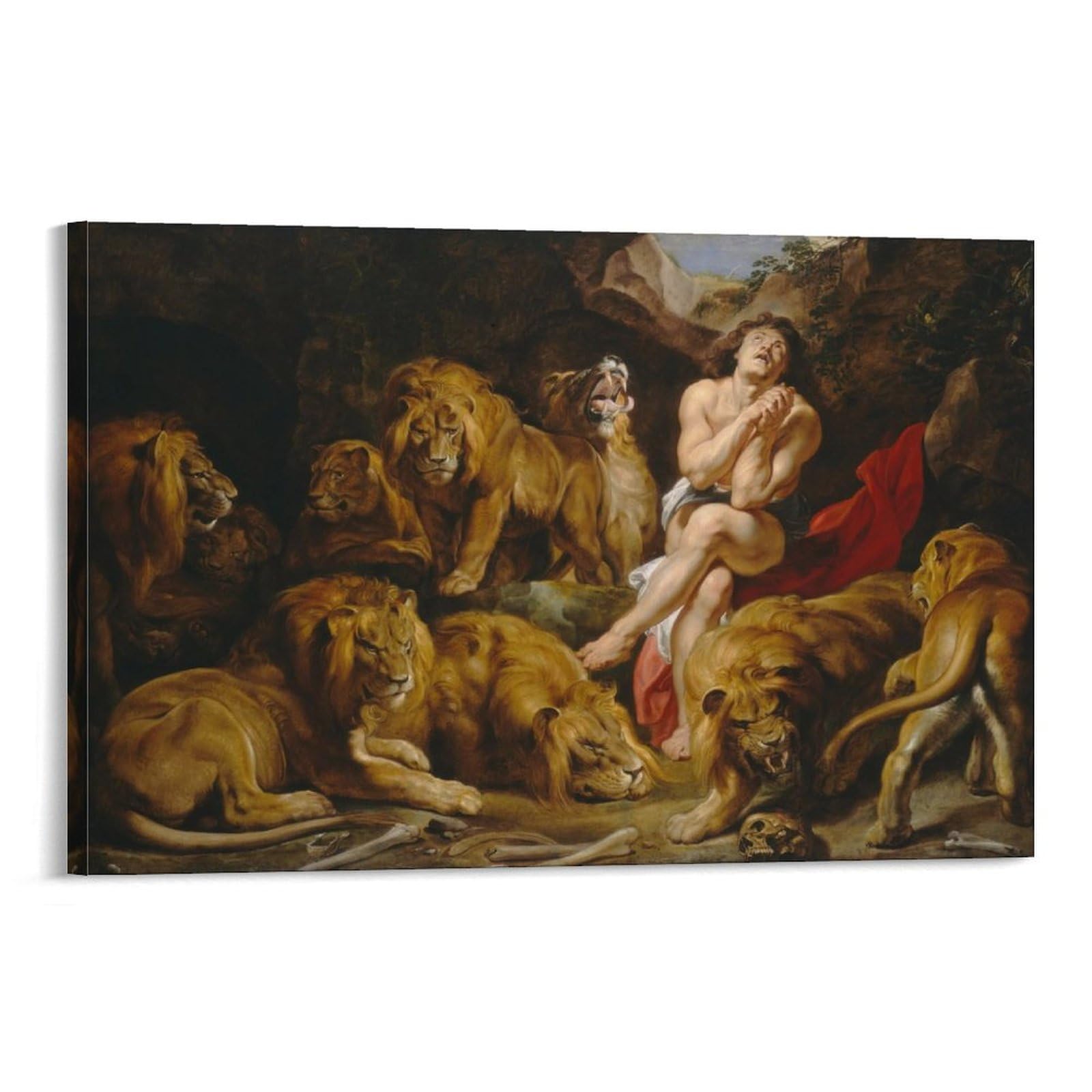 Amazon.co.jp: 画家 パウル・ルーベンス 世界の名画 ライオンの穴の中