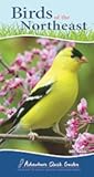 Birds of the Northeast: Your Way to Easily Identify Backyard Birds (Adventure Quick Guides)