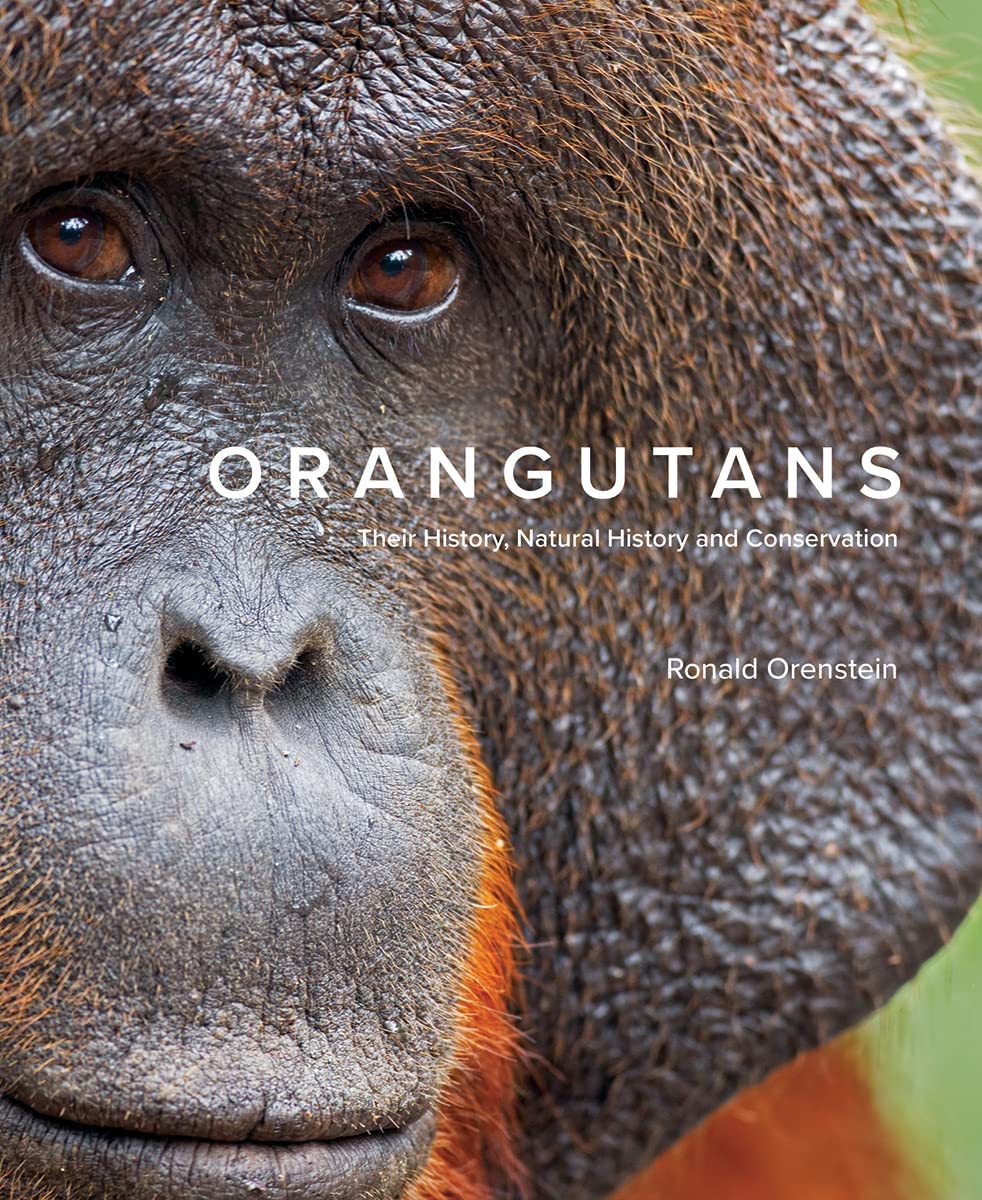 Orangutans: Their History, Natural History and Conservation by Orenstein New^*