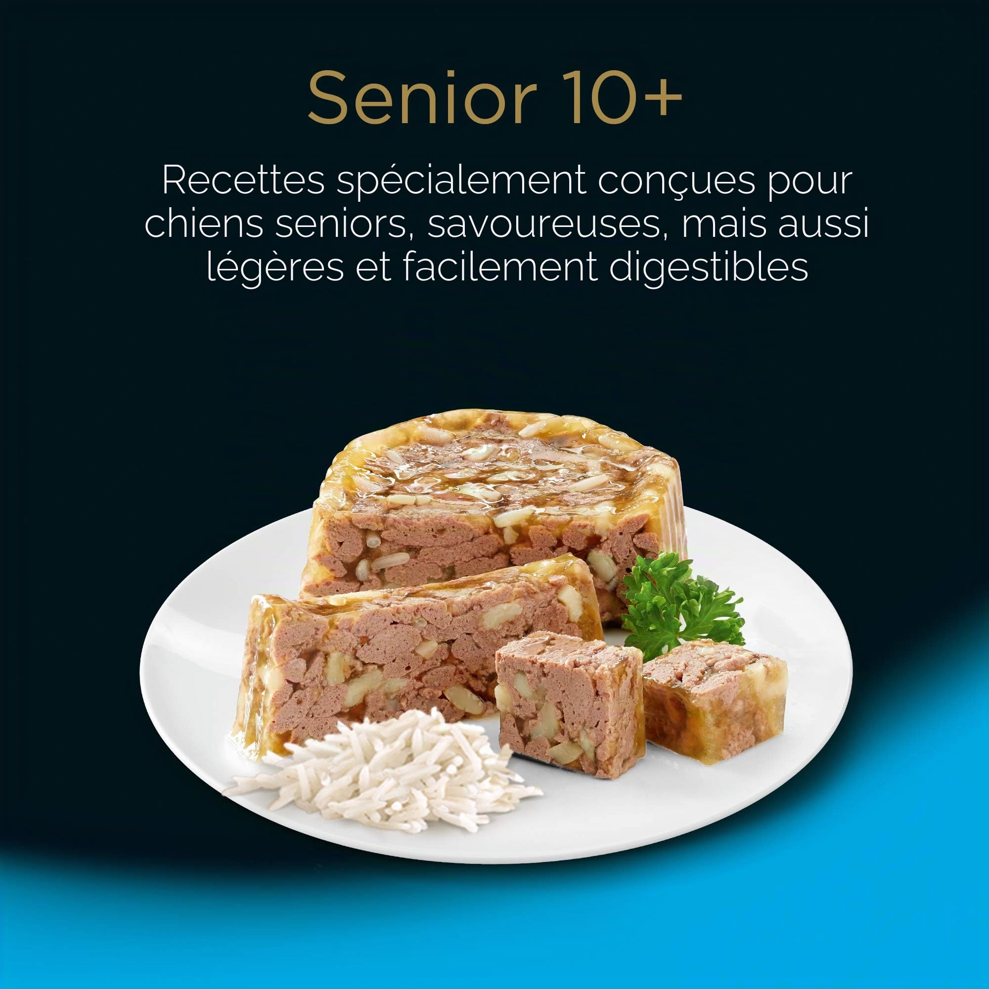 Cesar Senior 10+, Nourriture pour Chien âgé, sélection Assortie, 150 g, 24 bacs - 3600 g