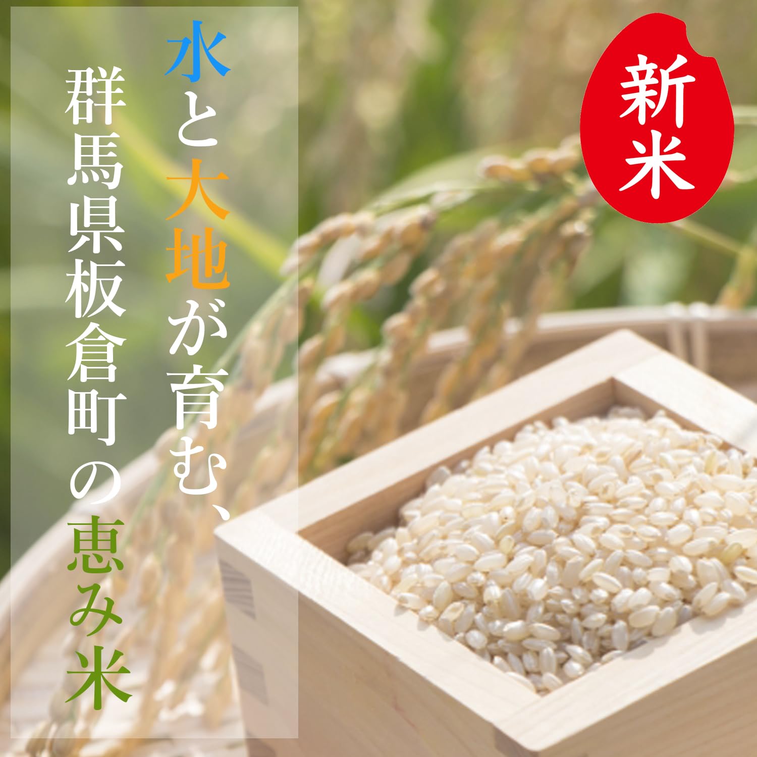 令和7年度産コシヒカリ玄米30キロ 令和7年産】コシヒカリ 30kg（玄米）豊かな甘みと強い粘り！自家製