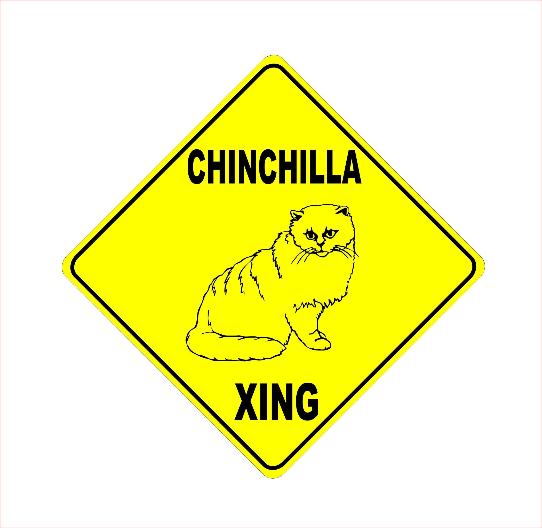 CakJuice Panneau De Bain Pour Décoration De Salle De Bain, Cuisine, Panneau Mural « Warning This Property Is Protected By Highly Trained Chinchilla