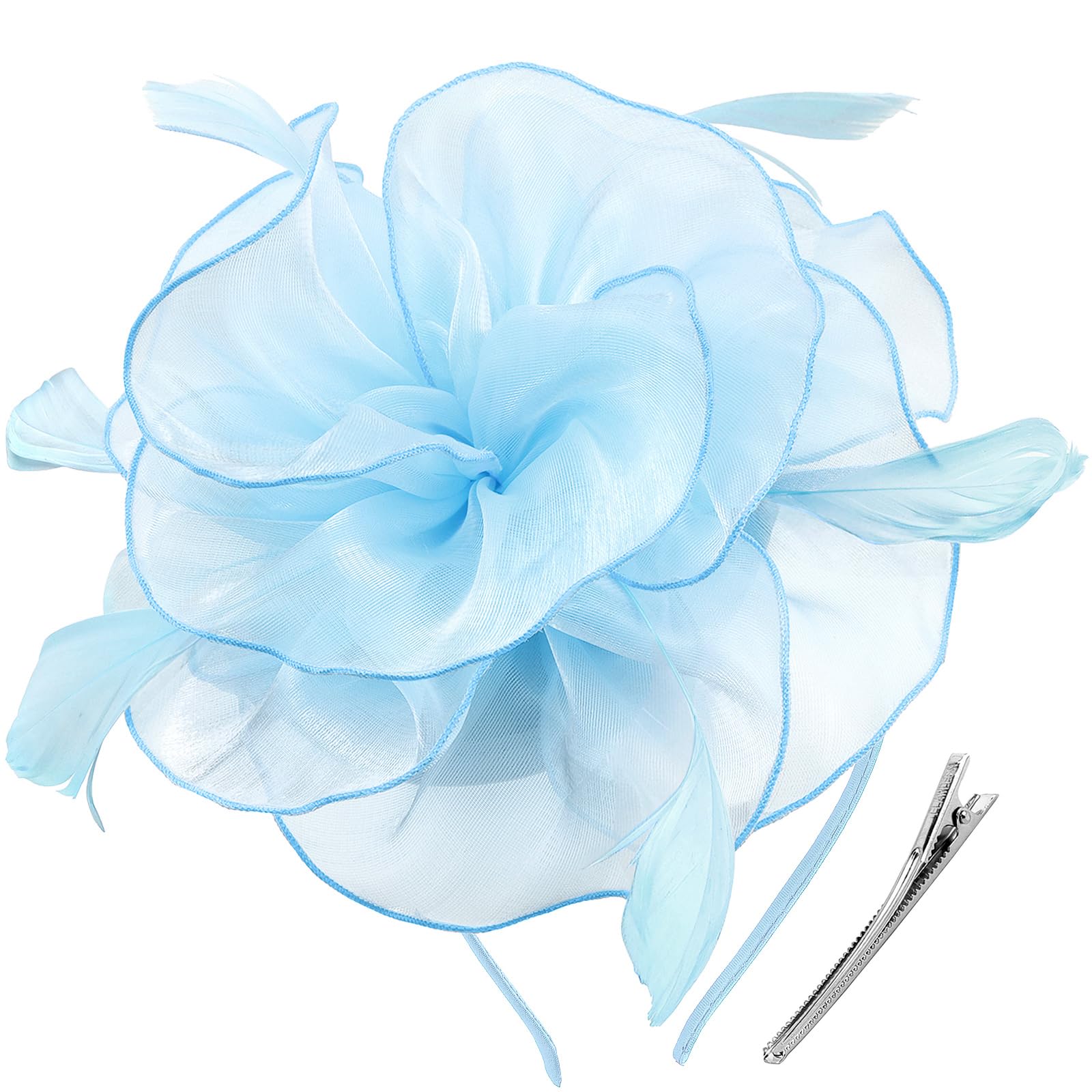 DRESHOW Fascinators Hat Tea Party Headwear Ribbons Feathers on a Headband and a Clip for Women