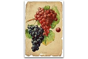Red Grape Canvas Wall Art