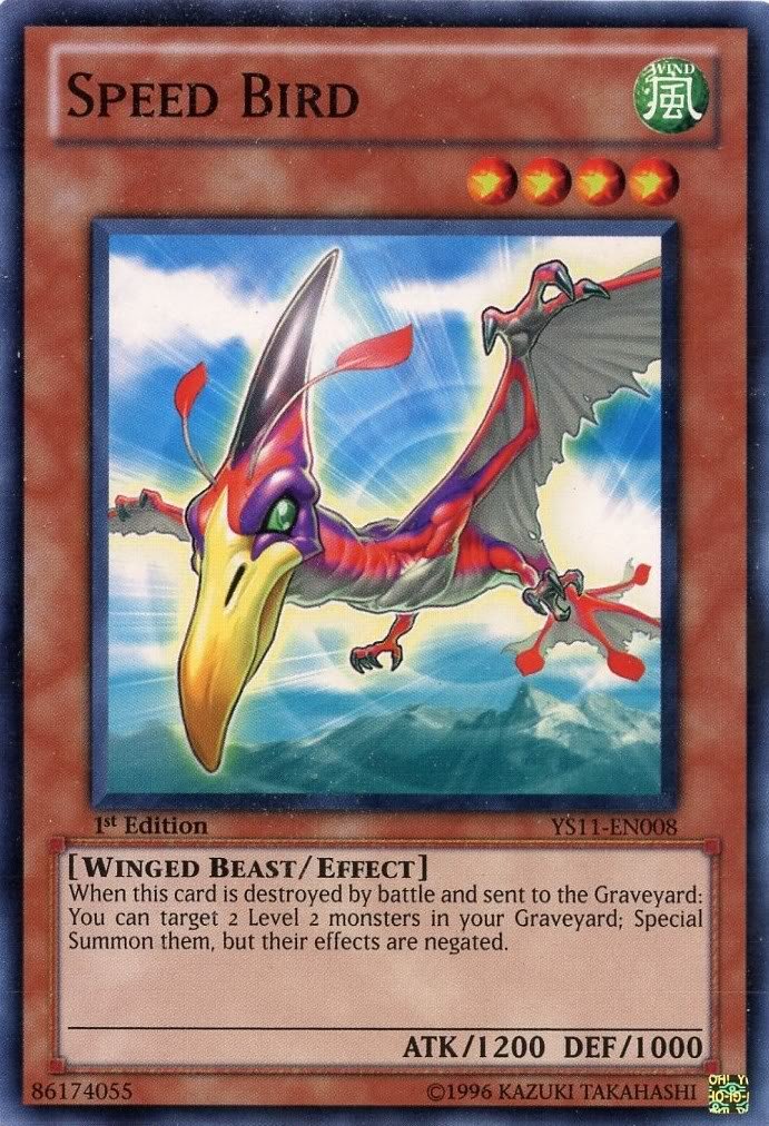 Ishishi yuuu Amazon.com: Yu-Gi-Oh! - Speed Bird (YS11-EN008) - Starter Deck