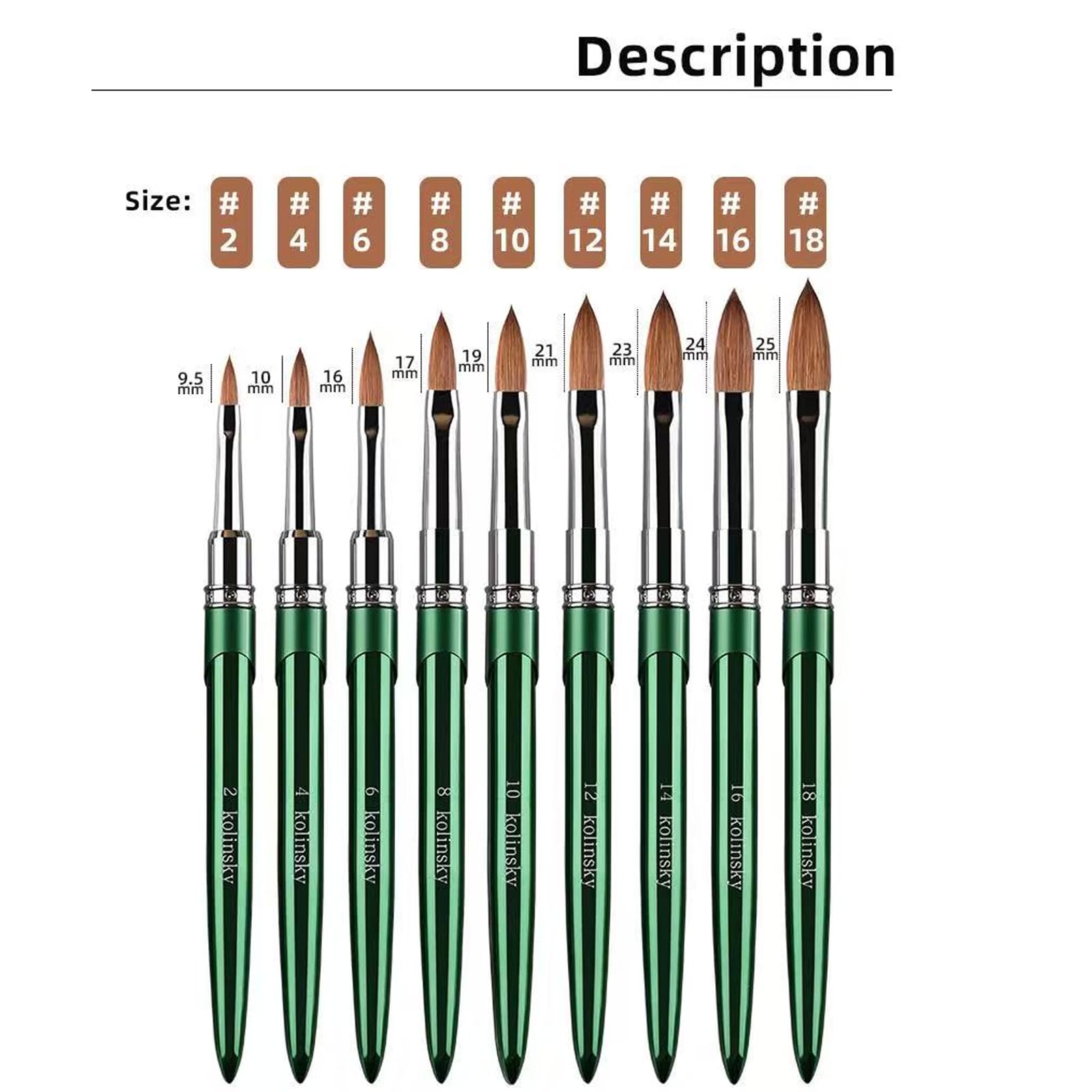 Kolinsky - Pinceles acrílicos para arte de uñas, 100 % de pelo puro Kolinsky, mango de cristal cromado verde con virola plateada de forma redonda para mujeres y niñas, accesorios de manicura, tamaño