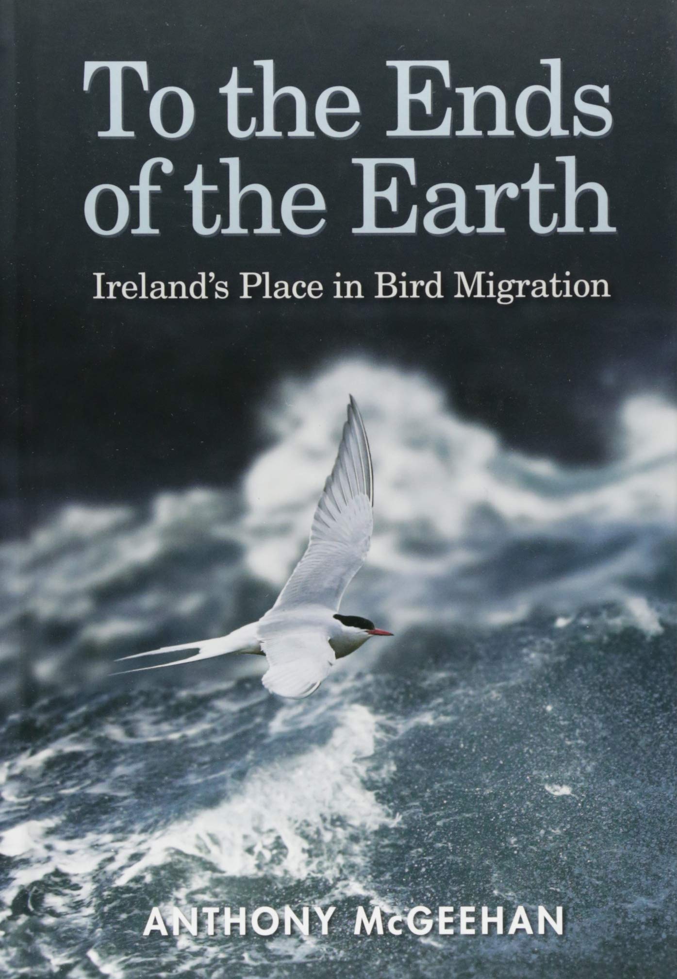 To the Ends of the Earth: Ireland's Place in Bird Migration