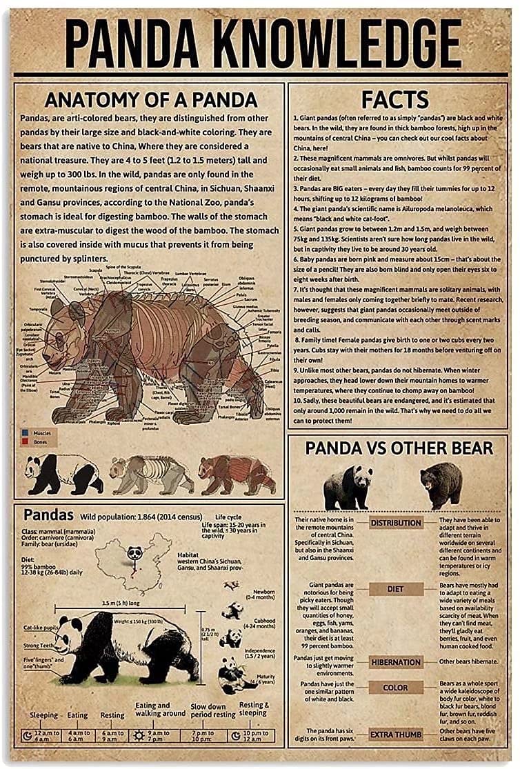 Panda Knowledge Metal Signs, Fun Poster For Bar Kitchen Cafe Farmhouse Wall Decor 8x12inch