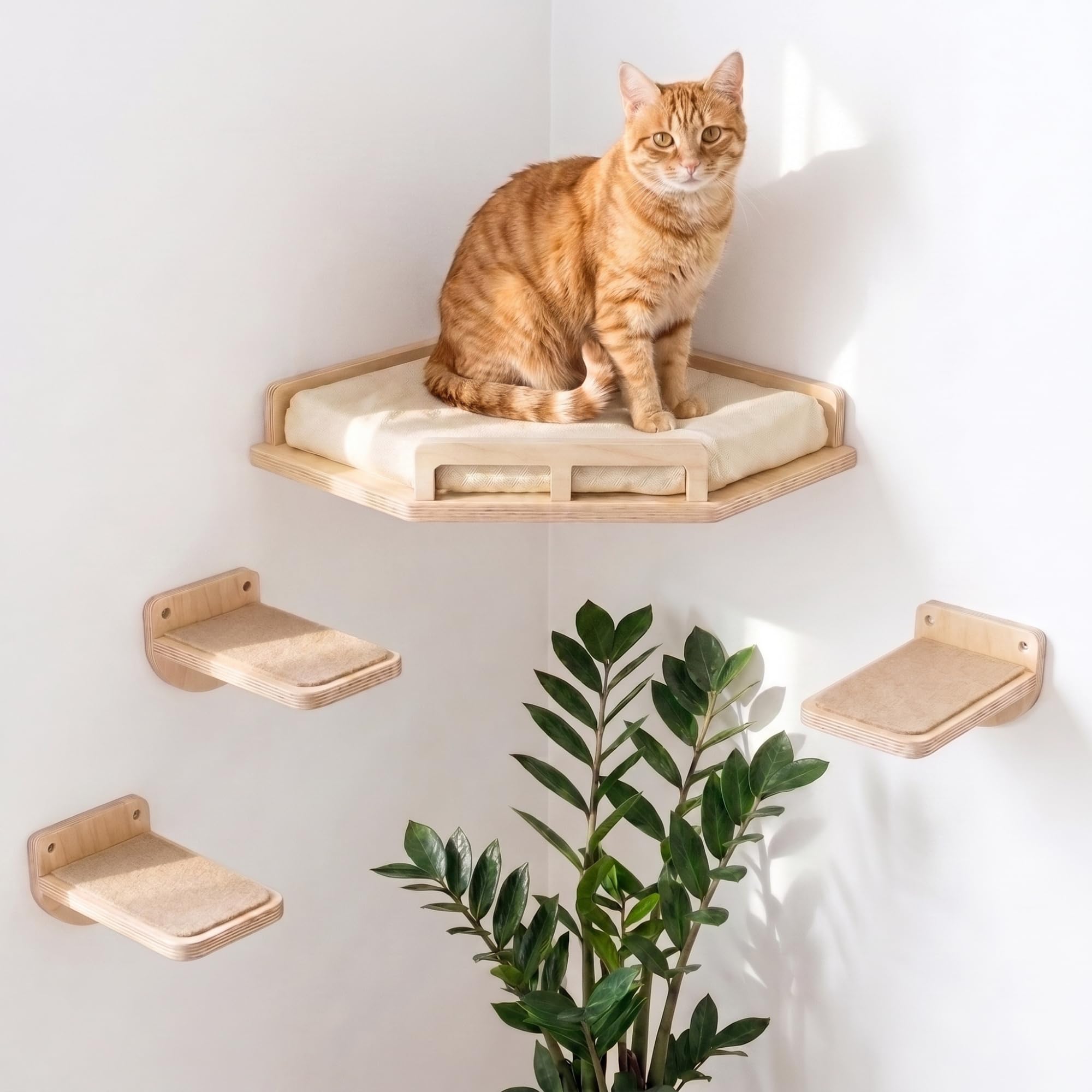 INICIO Katzen-Wandregal, sichere und stabile Katzenwandmöbel, stilvolles Eckregal aus Birkenholz, 3 Stufen für Katzen bis 8 kg, gepolsterte Sitzstange und Treppen zum Klettern und Spielen