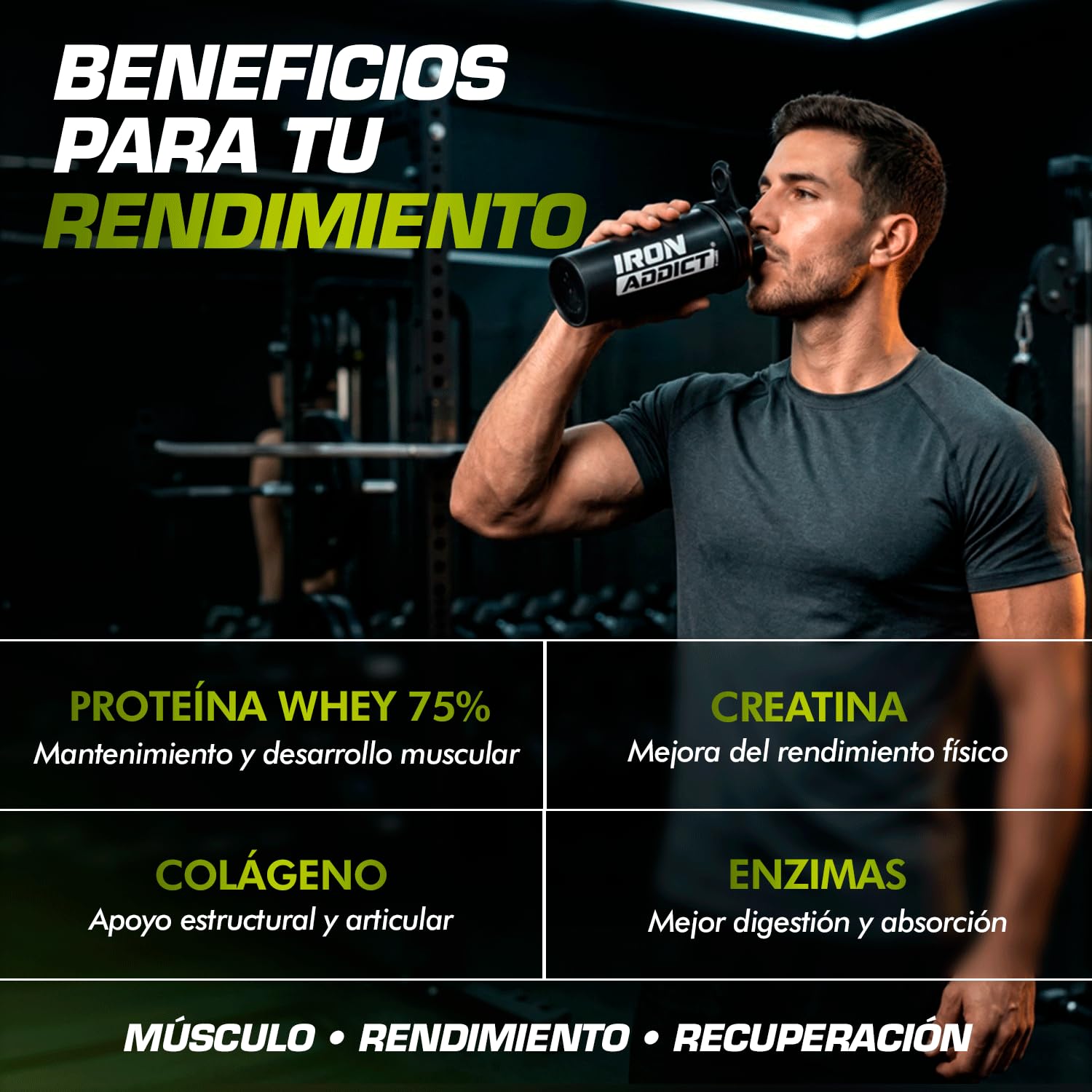 Whey Protein 1.8Kg Iron Addict Labs - Proteína de Suero de Leche de Máxima Calidad - Mantenimiento y Desarrollo Muscular - Fortalece las Articulaciones - Beneficios Cognitivos - Sabor Tarta Chocolate