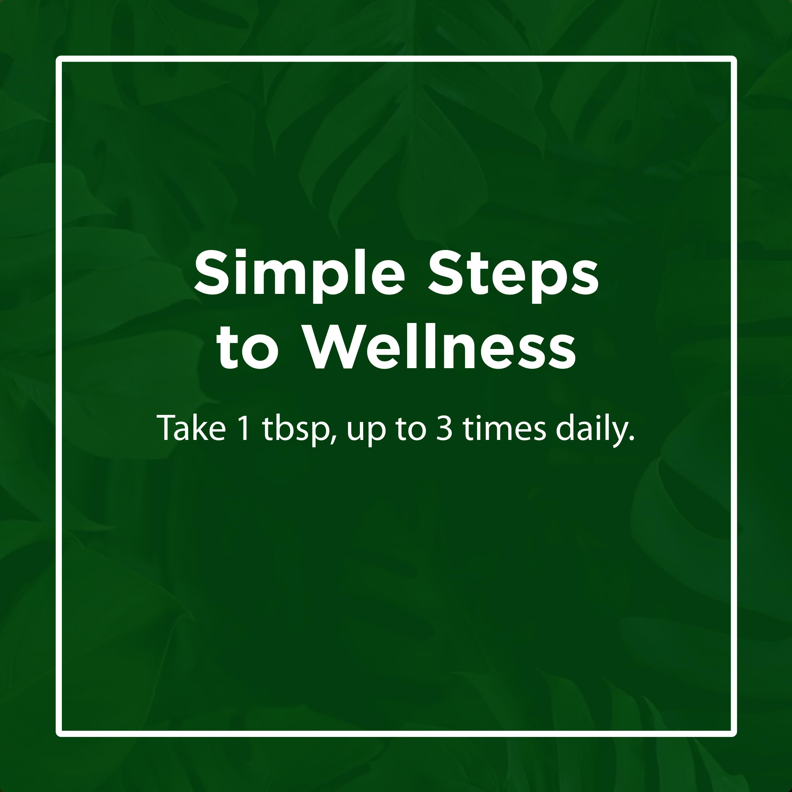 Flora - High Lignan Flax Oil - Provides Benefits of Essential Fatty Acids (EFAs) with Lignans - Contains Omega-3, 6 & 9 - Organic, Non-GMO & Gluten-Free - Keep Chilled - 8.5 fl. oz. Glass Bottle