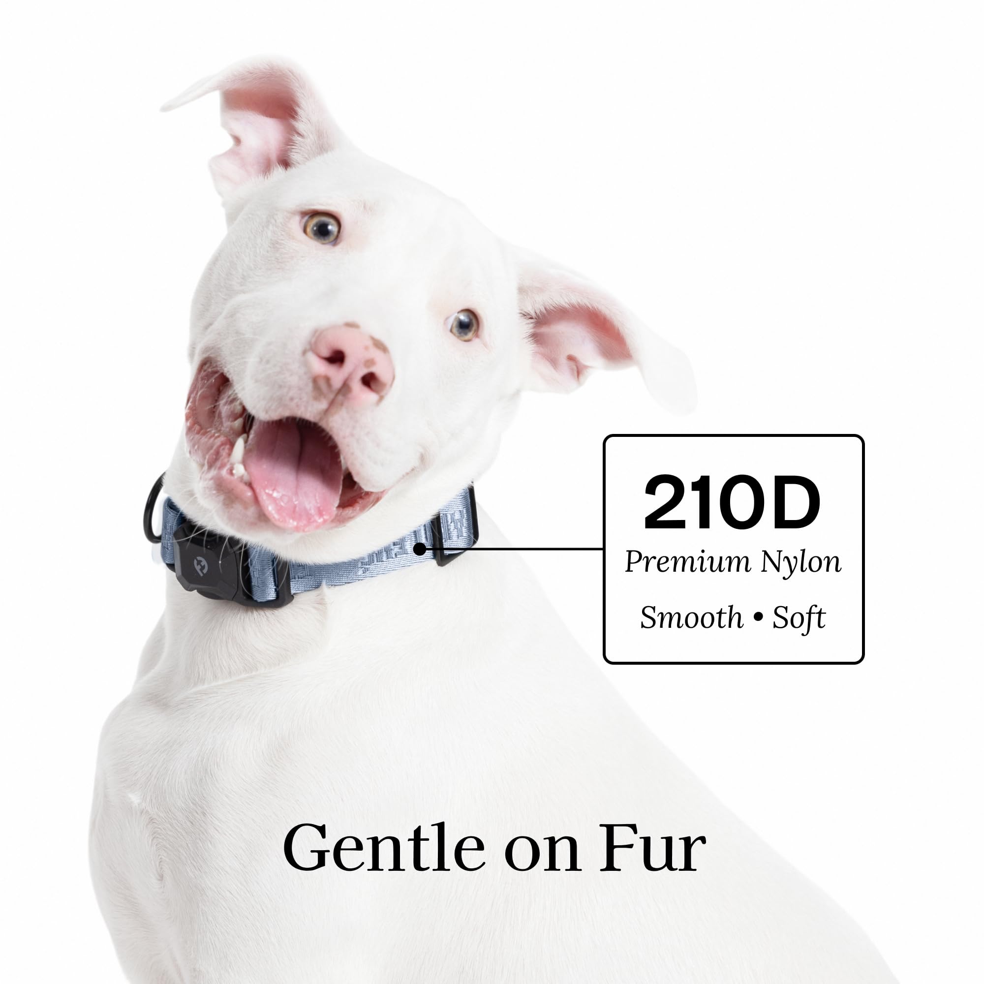 Fei & Eve MagEase - Collare per cani 2026, con fibbie magnetiche brevettate, sicuro per la pelliccia, nylon 210D di alta qualità, a prova di fuga, 204 kg, vestibilità regolabile, taglia L, blu scuro