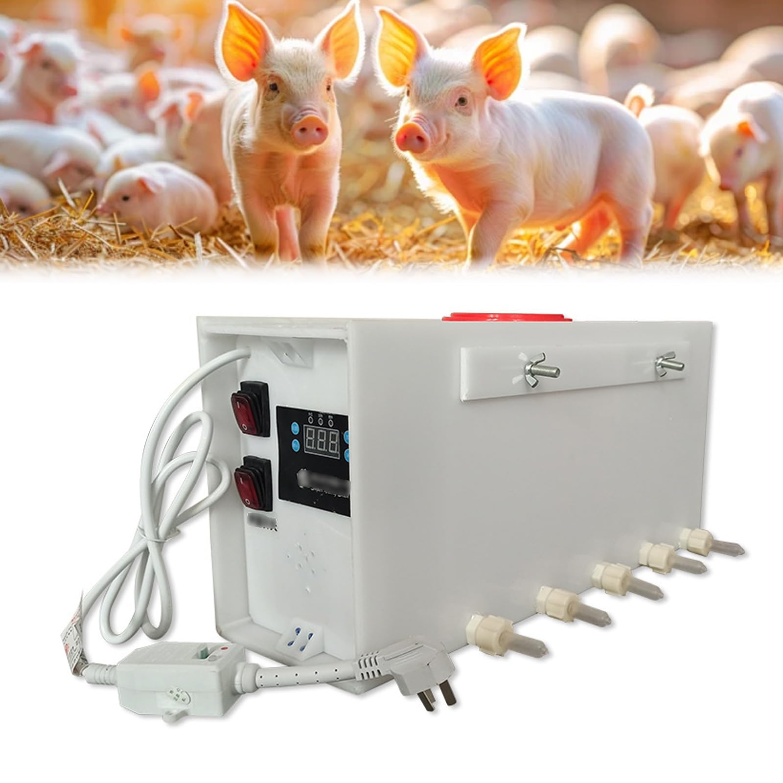 Analogique appel de truie et alimentation automatique pour porcelets en ferme