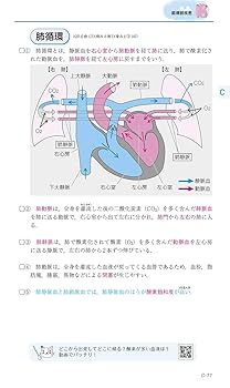 看護師・看護学生のためのレビューブック2022 | 岡庭豊 |本