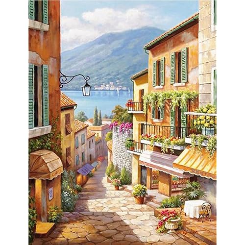 Amphol Paint by Numbers Kit for Adults, Scenery Paint by Numbers on Canvas for Beginners, Acrylic Easy Painting Number Kits for Gift Decor - 16x20 Inch