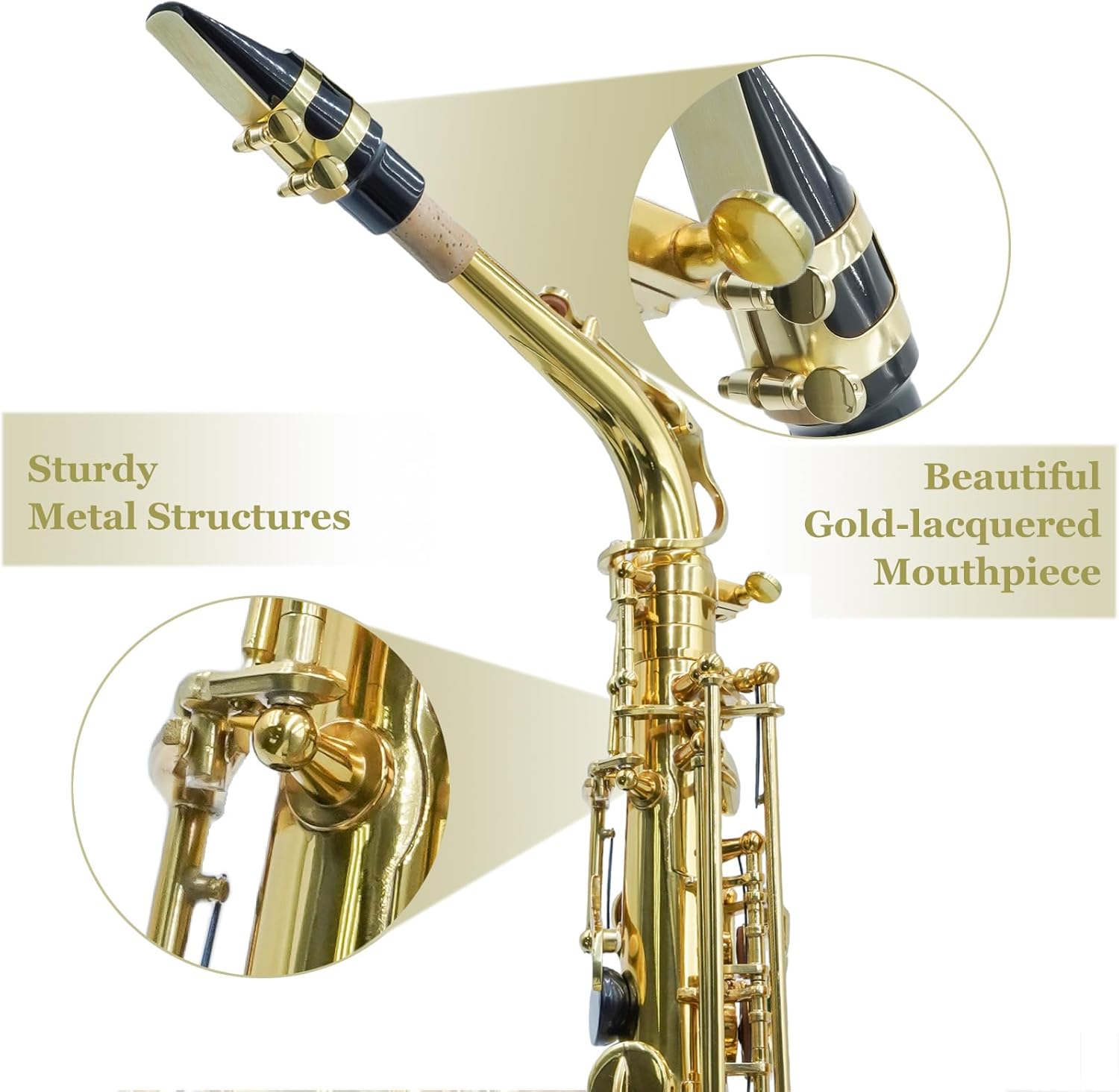 Eb Alto Saxophone with F# Key, Canvas Case, Gloves, Reeds, Carekit(Gold Lacquer)