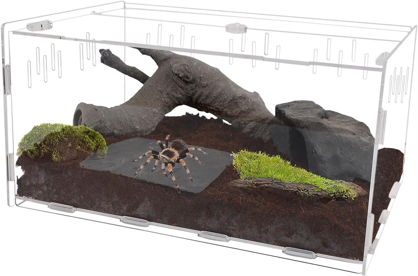 THE WHITE SHOP Reptile Terrarium, Tarantula Enclosure, 30cm x 20cm x 15cm Large Feeding Tarantula Habitat Box for Small Animals Insect Home Office (Size : SMALL)
