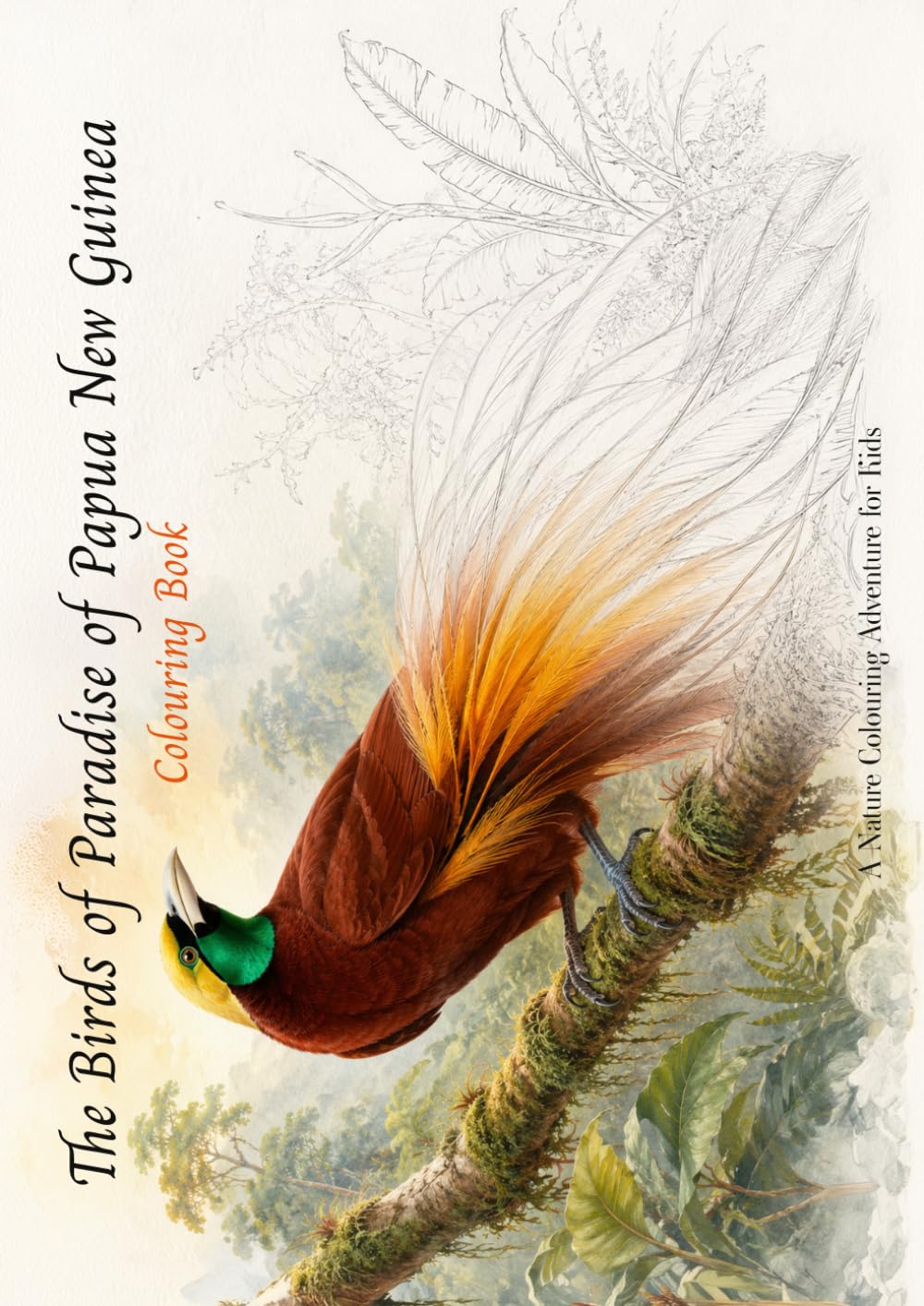 The Birds of Paradise of Papua New Guinea - Colouring Book: A Rainforest Colouring Adventure for Kids – 25 Birds of Paradise with Fun Facts and ... Wildlife Colouring & Learning Books)