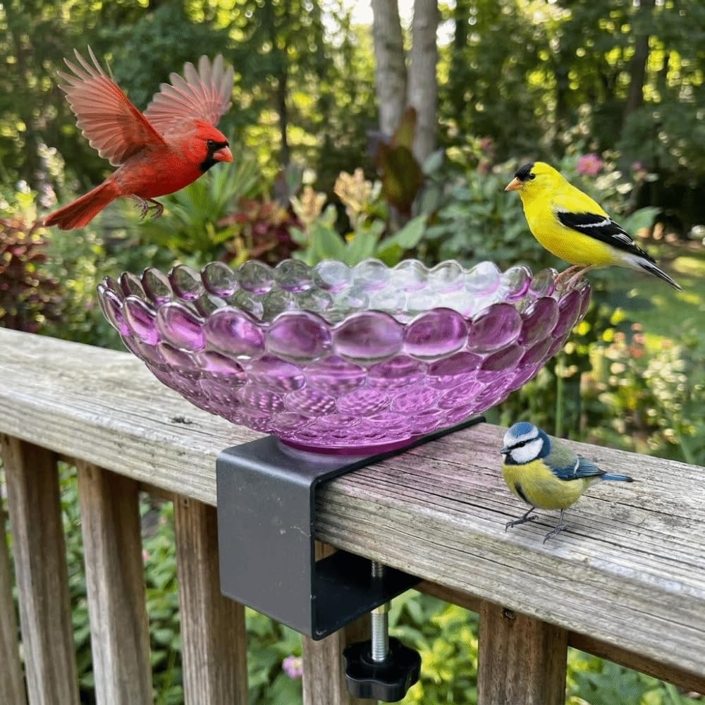 Baño para pájaros para barandilla de balcón, comedero de plástico portátil con abrazadera, cuenco de agua al aire libre para jardín, patio, terraza, ideal para pájaros pequeños