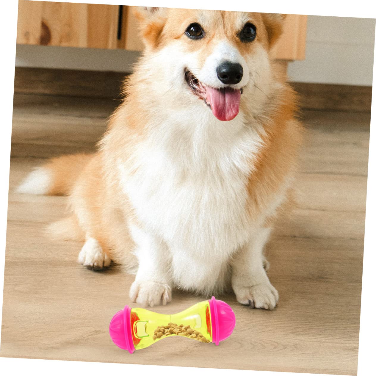 Sosoport 10pezzi Dispenser Di Snack Per Cani e Gatti Gioco Interattivo Premium Design Forma Di Osso e Facile Da Usare e Resistente Adatto Per Cani e Gatti Di Piccole e Medie