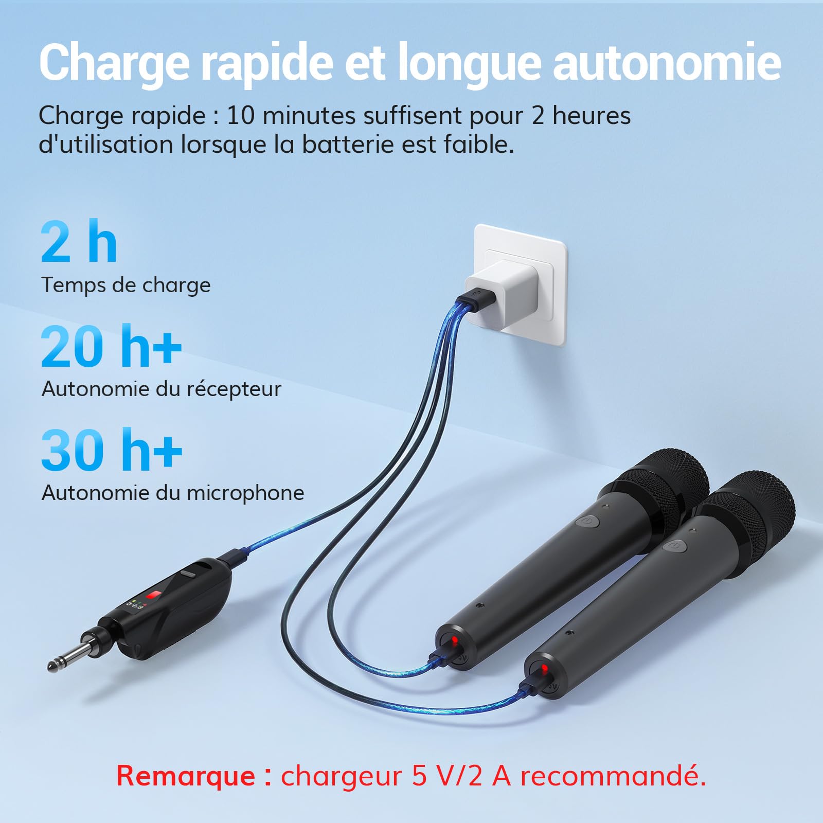 TONOR Micro Dynamiques sans Fil Rechargeables, Système Double Microphones à Main avec Récepteur pour Karaoké, Chant, Fêtes à Domicile, Anniversaire, Discours, Autonomie 30H, 2.4GHz, TW 220