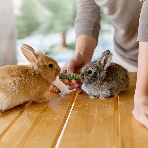 Miniatura 4 de Niteangel 20 palitos de heno Timothy naturales, Timothy Molar Rod para conejos, chinchilla, conejillos de indias y otros animales pequeños.