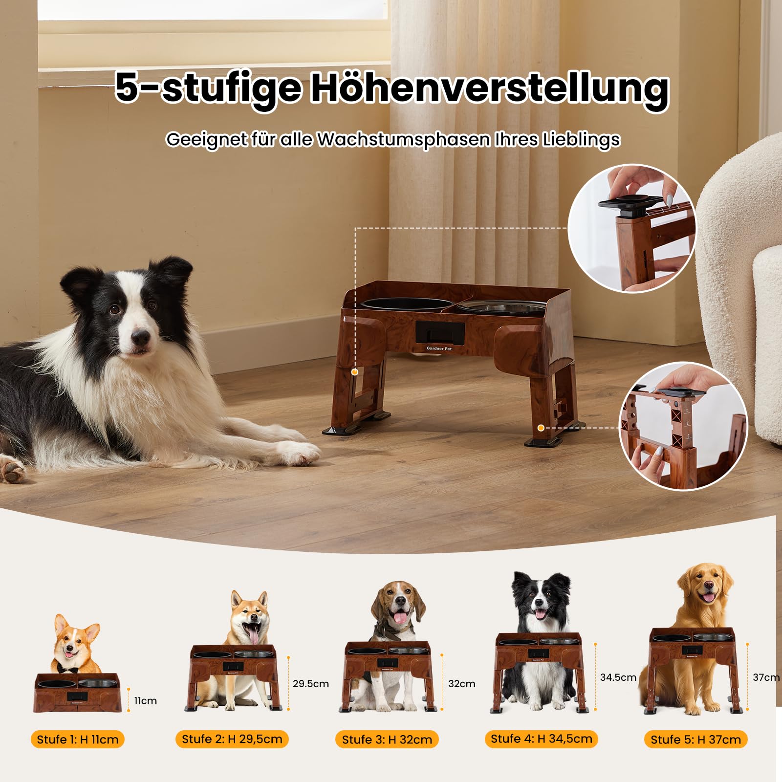 Gardner Pet Erhöhter Hundenapf, 2-in-1 Auslaufsicher, Mittlere Große Hunde | Wassernapf & Langsamfutternapf, Höhenverstellbarer Napfständer, 5 Höhen, Rutschfest