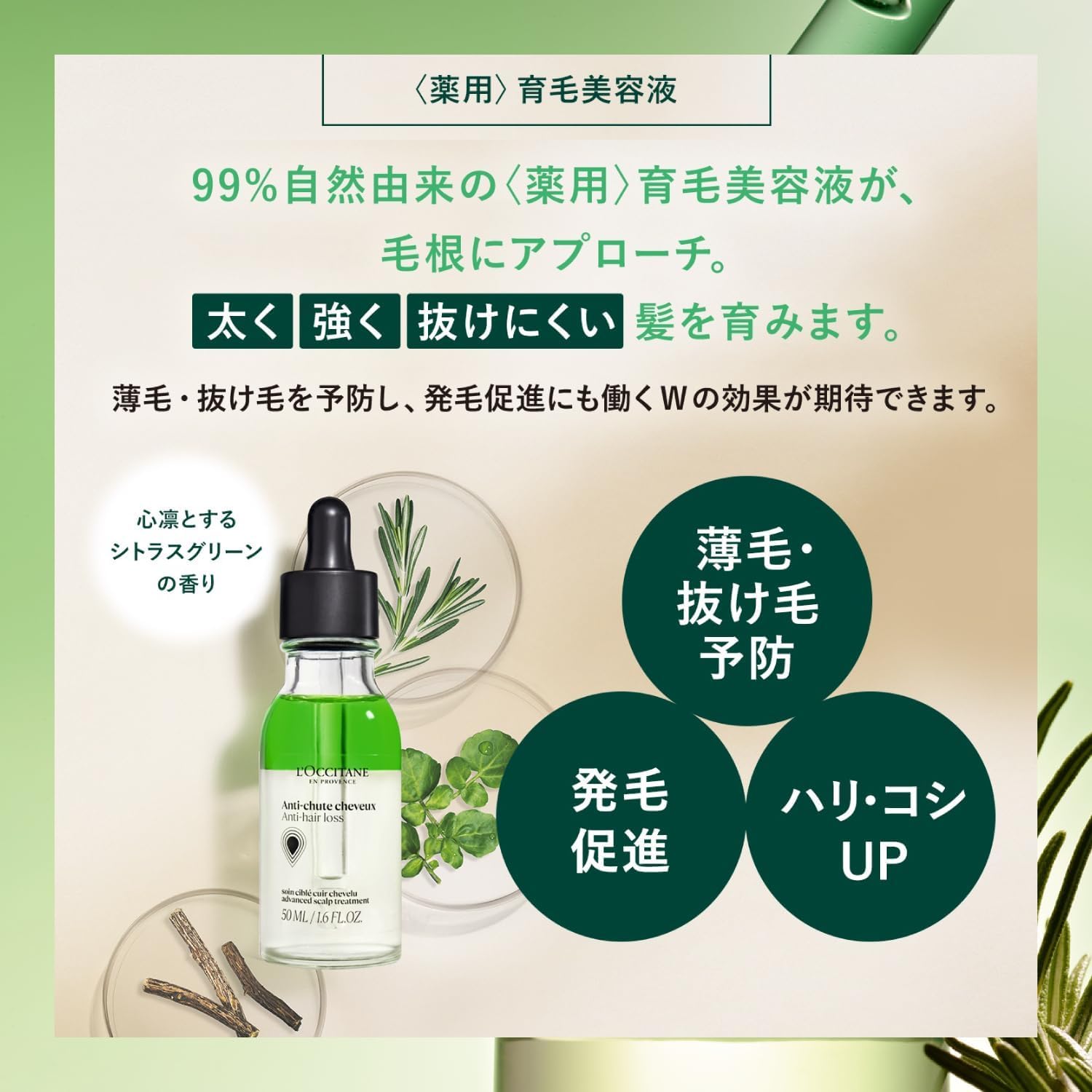 Amazon.co.jp: ロクシタン(L'OCCITANE) 薬用 メディカル アンチヘア