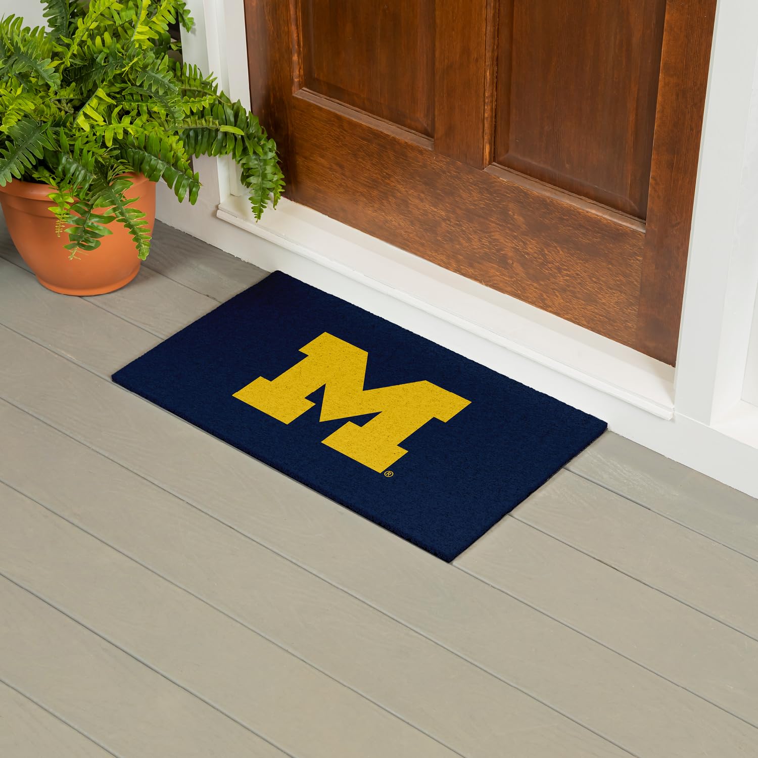 Amazon.com: Team Sports America NCAA University of Michigan Sports