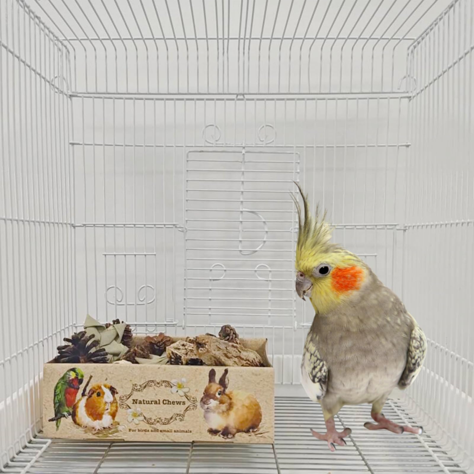 Bird Toys Bird Toys Box Bird Foraging Toys Bird shredding Toys Budgie Toys Conure Toys Cockatiel Toys Parrot Toys Parakeet Toys Bird cage Accessories Cockatiel Budgie Parakeet Conure African Grey - image 8