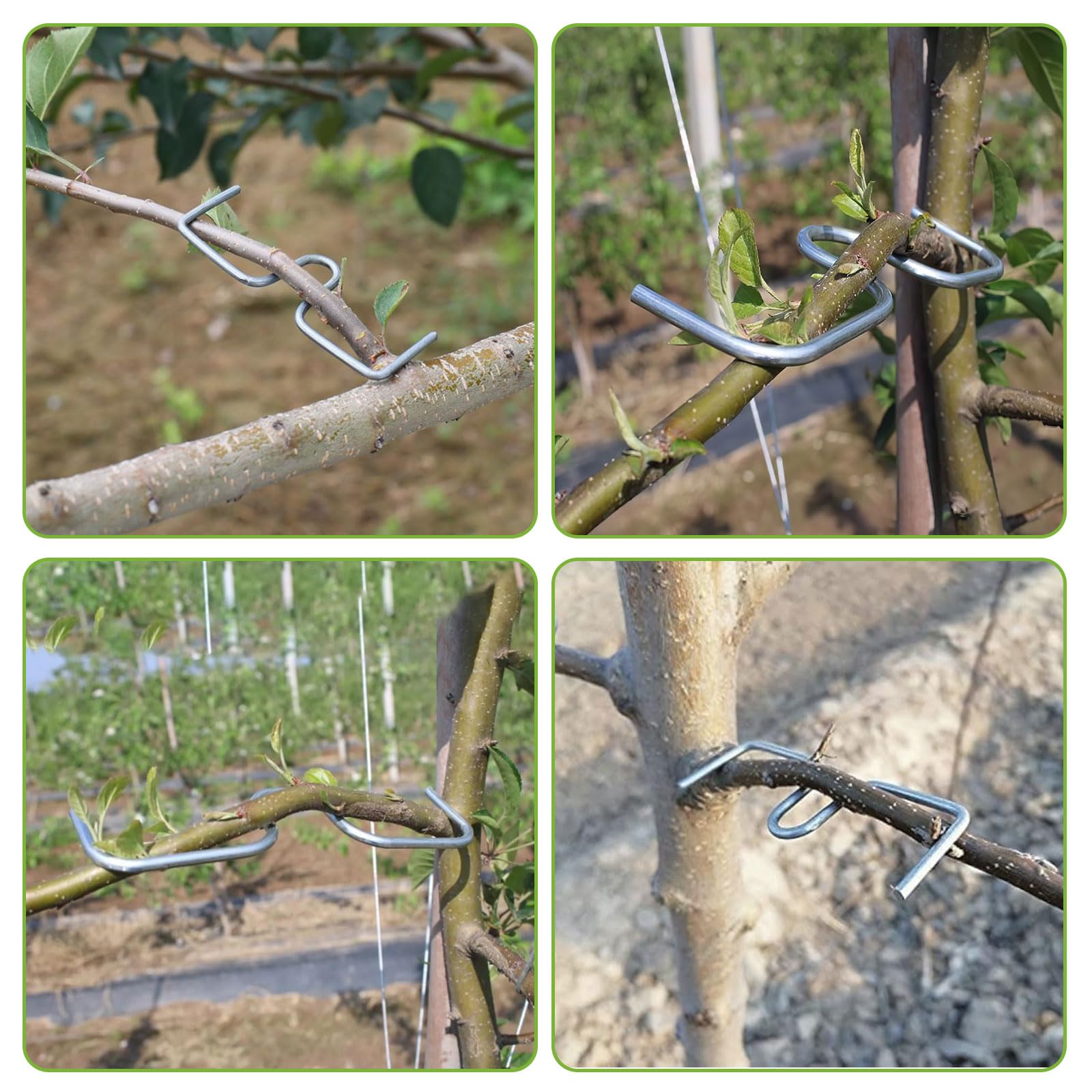 36 Stück Astspreizer für Obstbäume, Metall Aststütze Obstbaum 8/10/13cm, M-förmiger Astzieher Zweigspreize für Gartenbäume, Astklammern Biegehilfen zum Spreizen und Ebnen von Obstzweigen