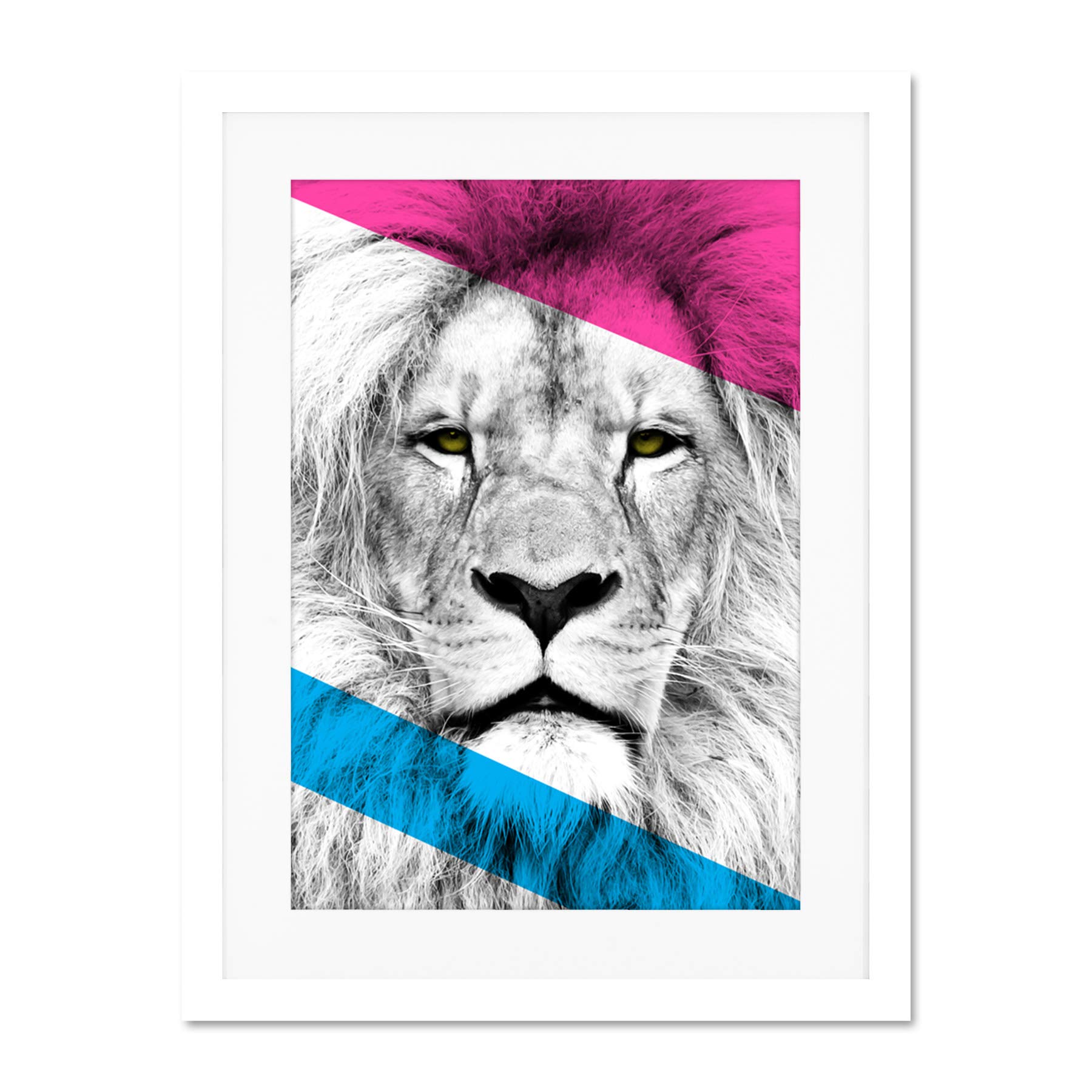 Wee Blue Coo Contemporary Bold CMYK Lion Large Framed Art Print Wall Poster 18x24 inch