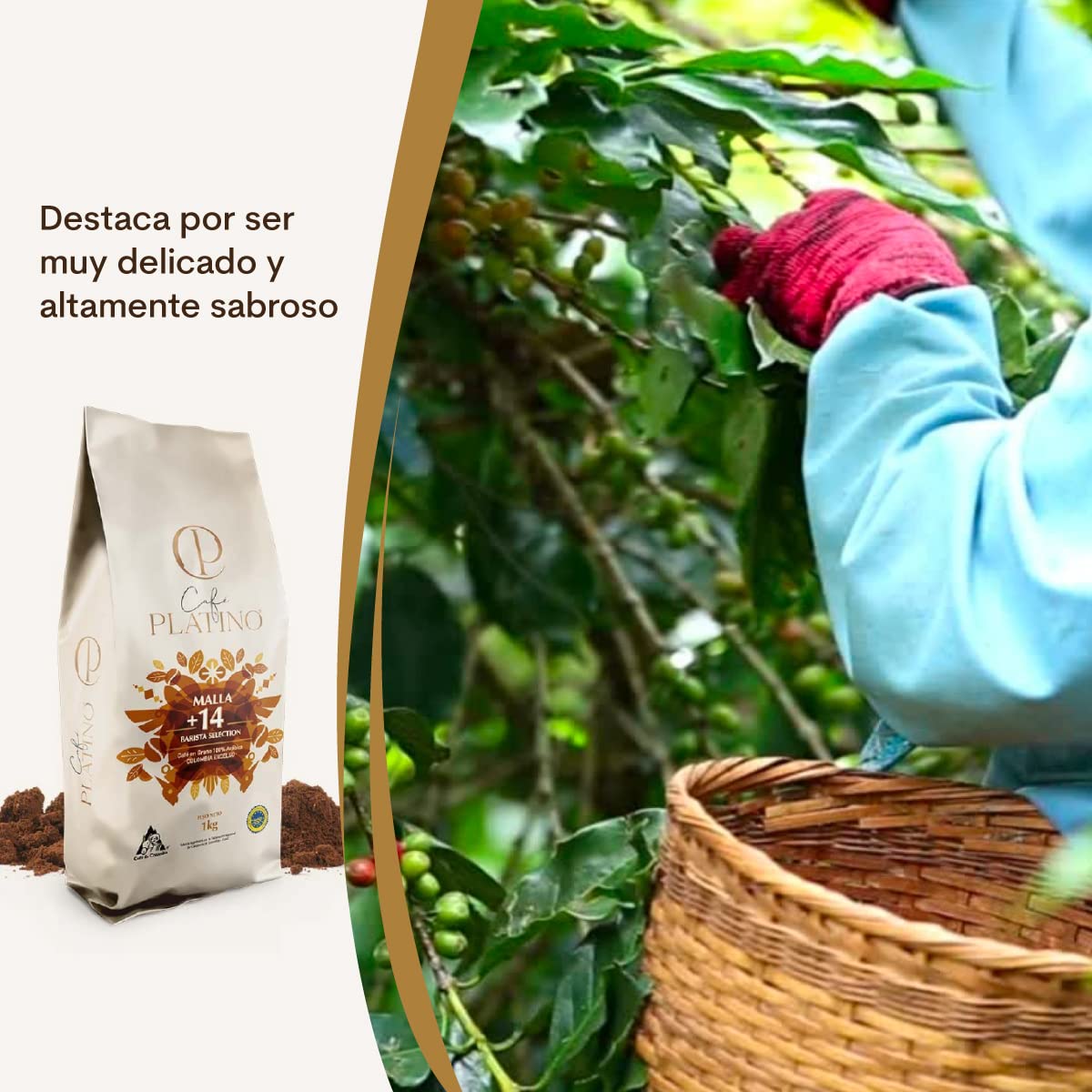 Café Platino - Café Molido de Colombia Excelso Tostado 1Kg - 100% Arábica - Malla +14 Barista Selection