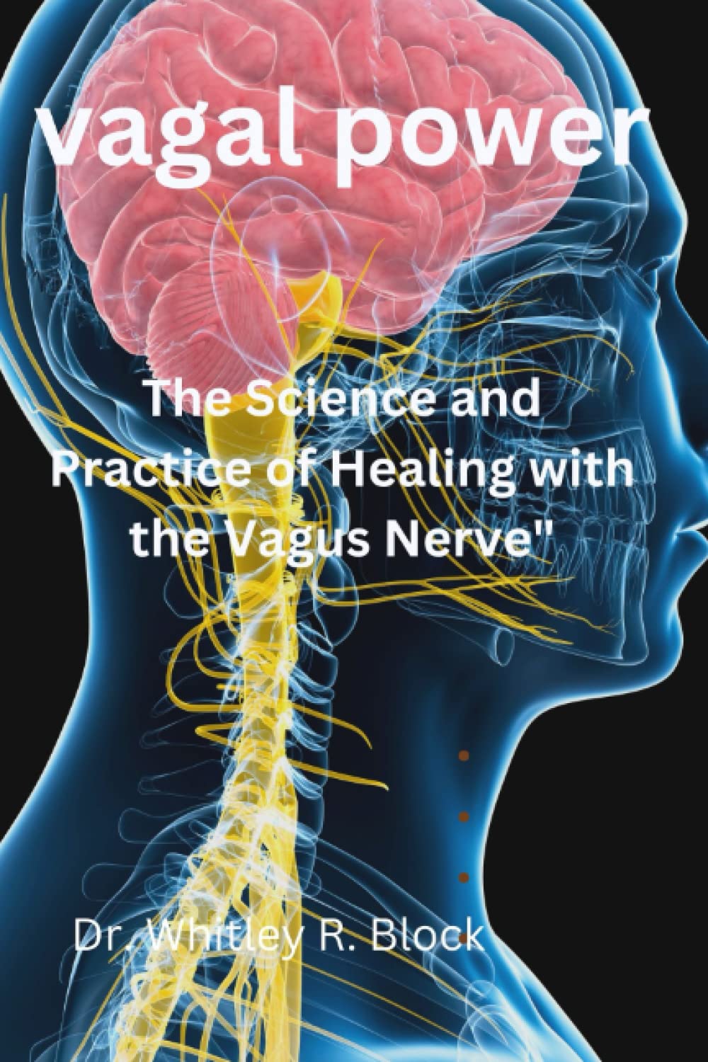Vagal Power: The Science and Practice of Healing with the Vagus Nerve